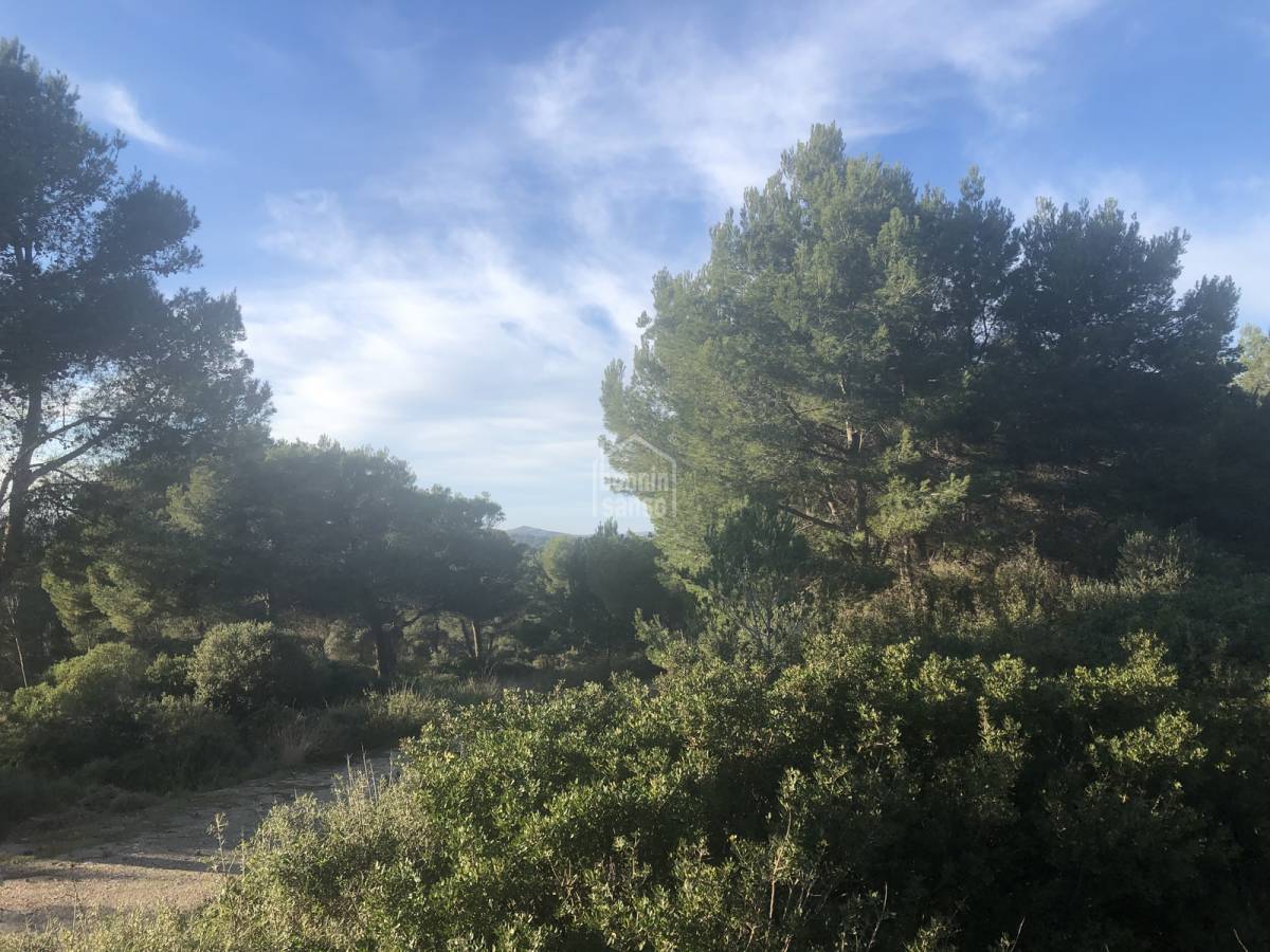 Zemes gabals Es Mercadal, Menorca, Spānijā Nr. 65452