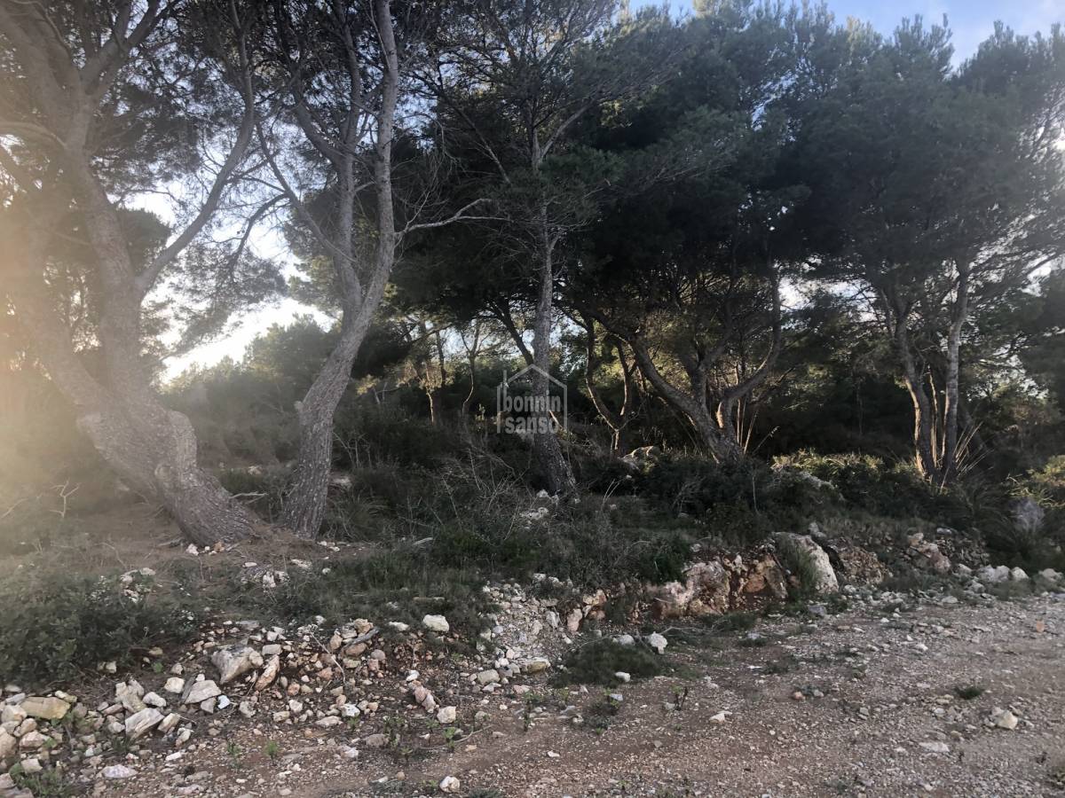 Tomt i Es Mercadal, Menorca, Spanien Nr. 65451