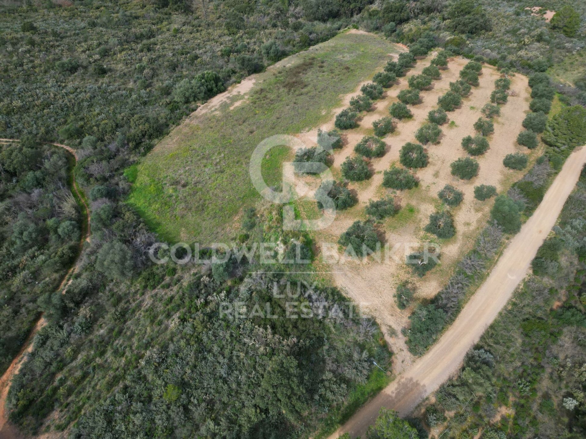 Parcela en Garriguella, Gerona, España 1300000 m2 No. 159495