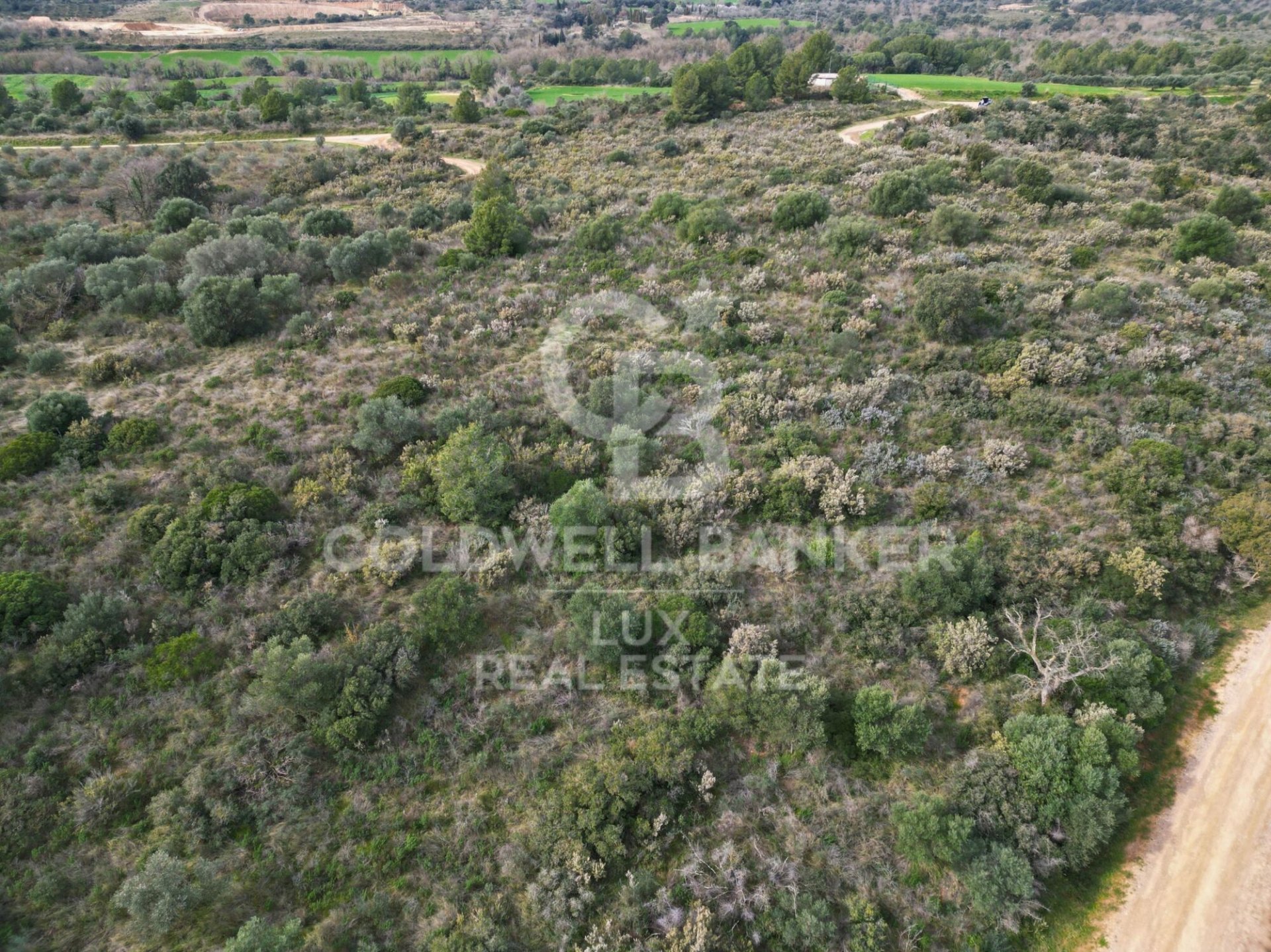 Parcela en Garriguella, Gerona, España 1300000 m2 No. 159495