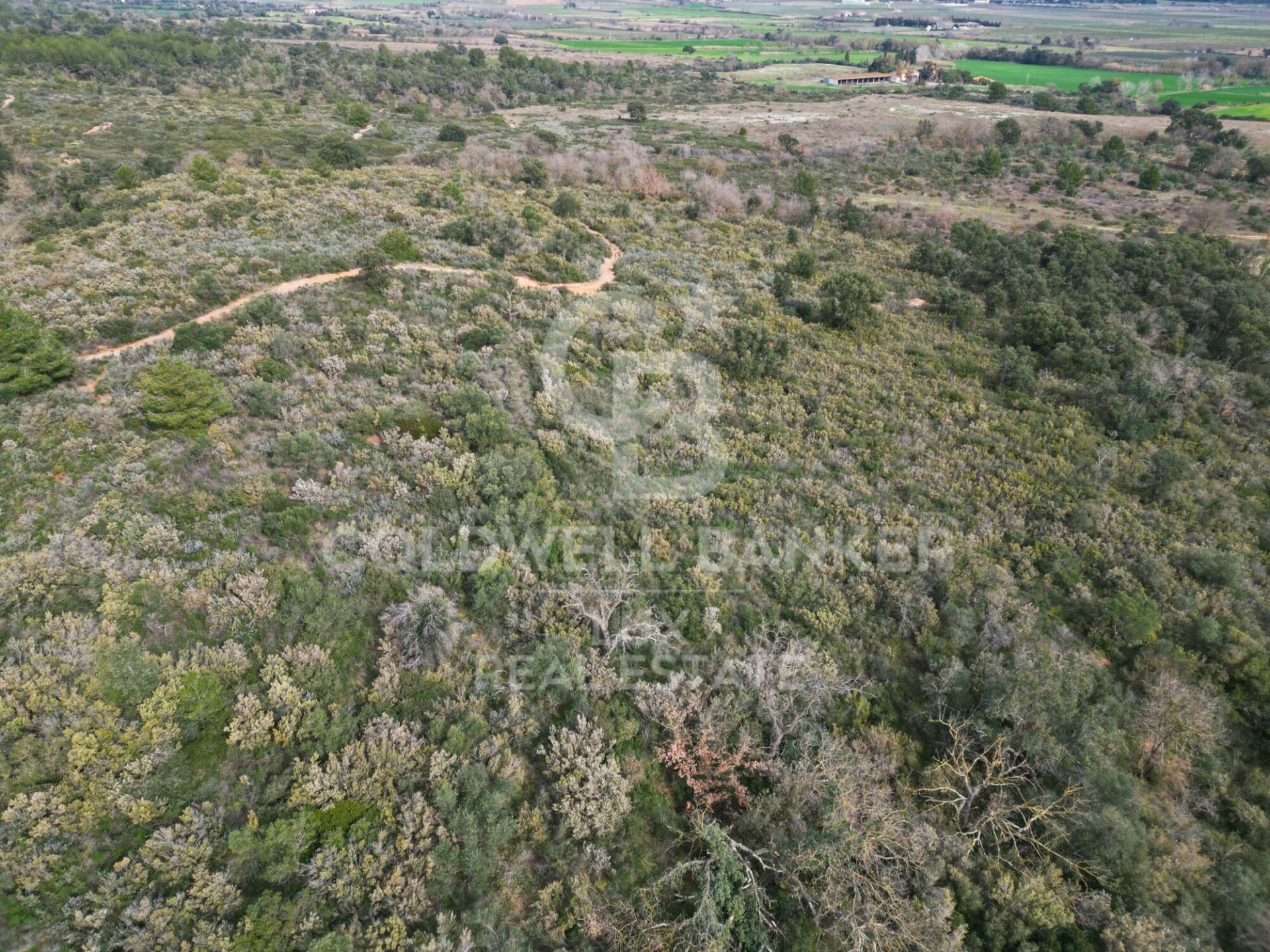 Parcela en Garriguella, Gerona, España 1300000 m2 No. 159495