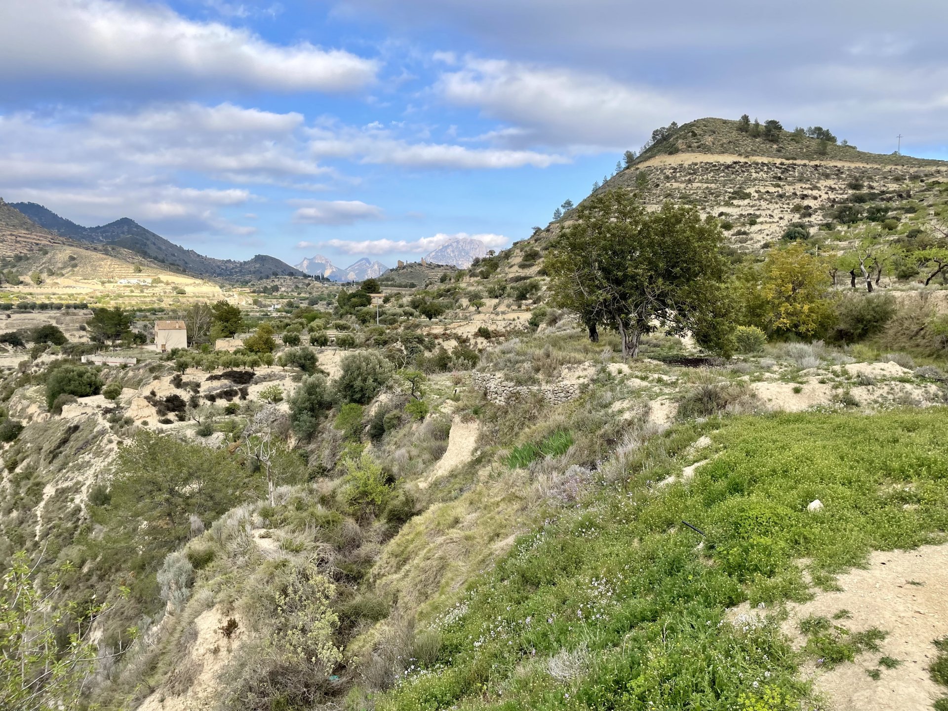 Finca i Relleu, Alicante, Spanien 3 sovrum, 150 kvm. Nr. 192507