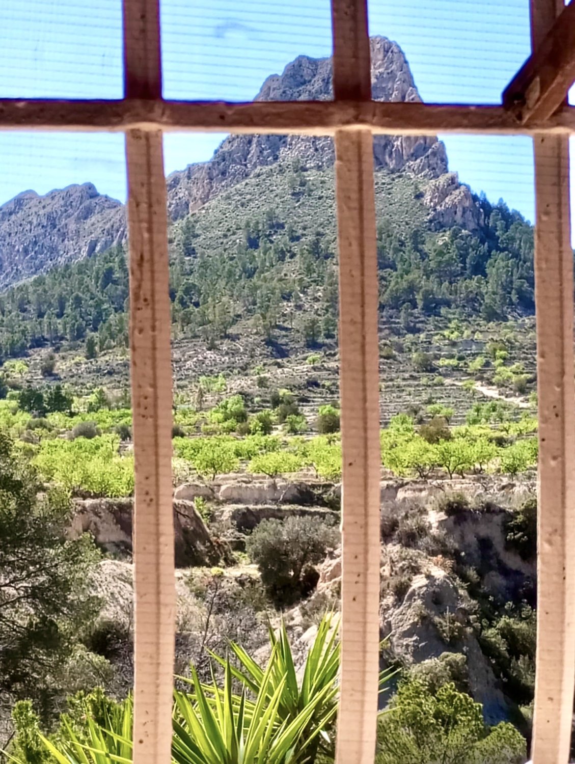 Finca i Relleu, Alicante, Spanien 3 sovrum, 150 kvm. Nr. 192507