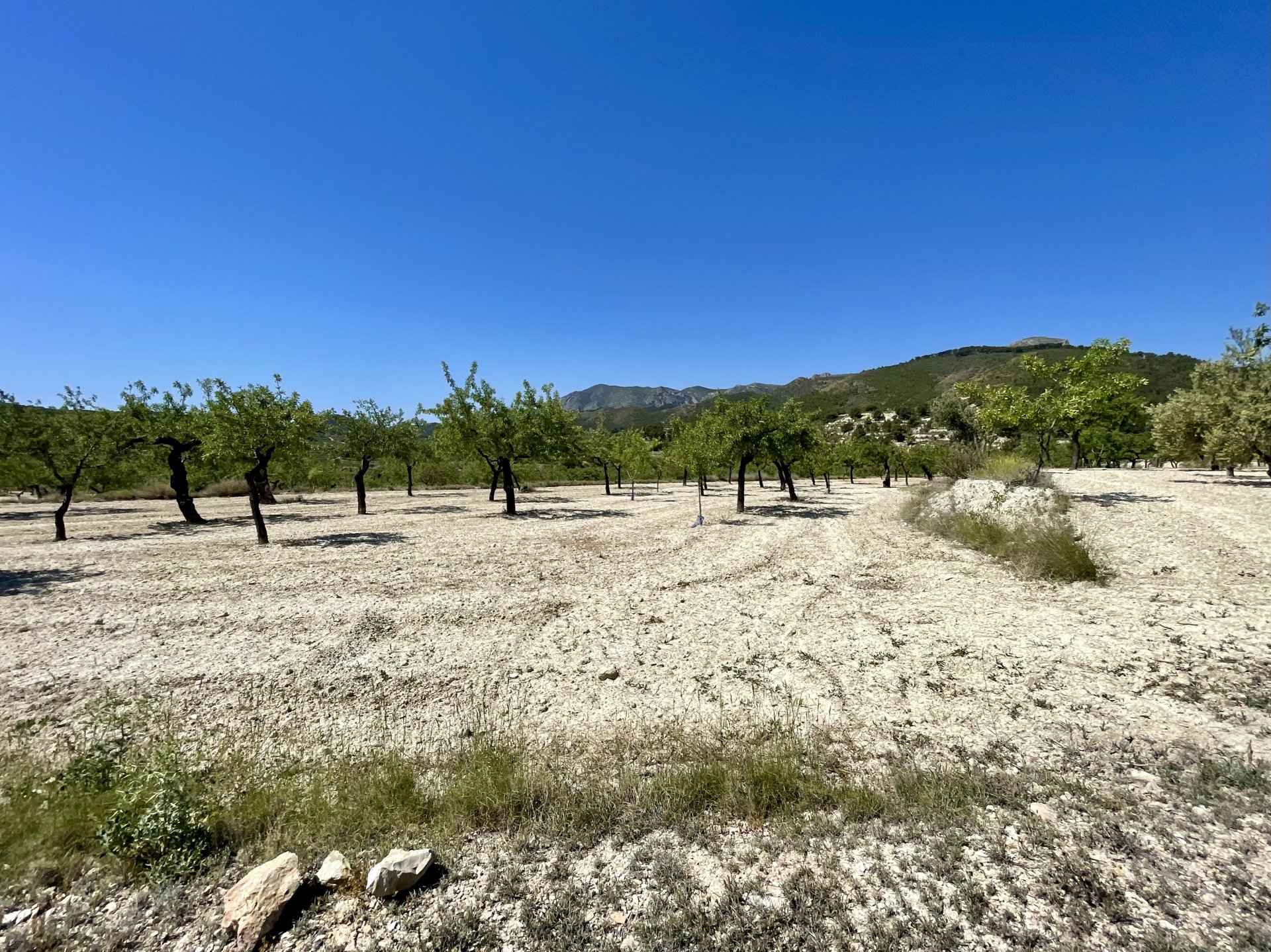 Finca i Relleu, Alicante, Spanien 2 sovrum, 67 kvm. Nr. 192509