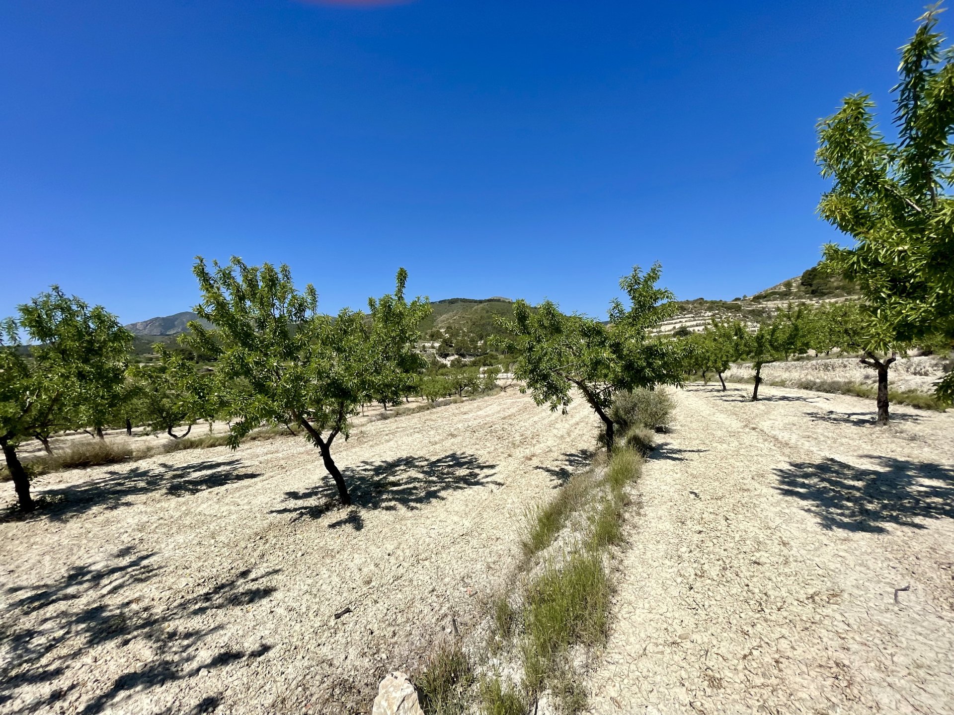 Finca i Relleu, Alicante, Spanien 2 sovrum, 67 kvm. Nr. 192509