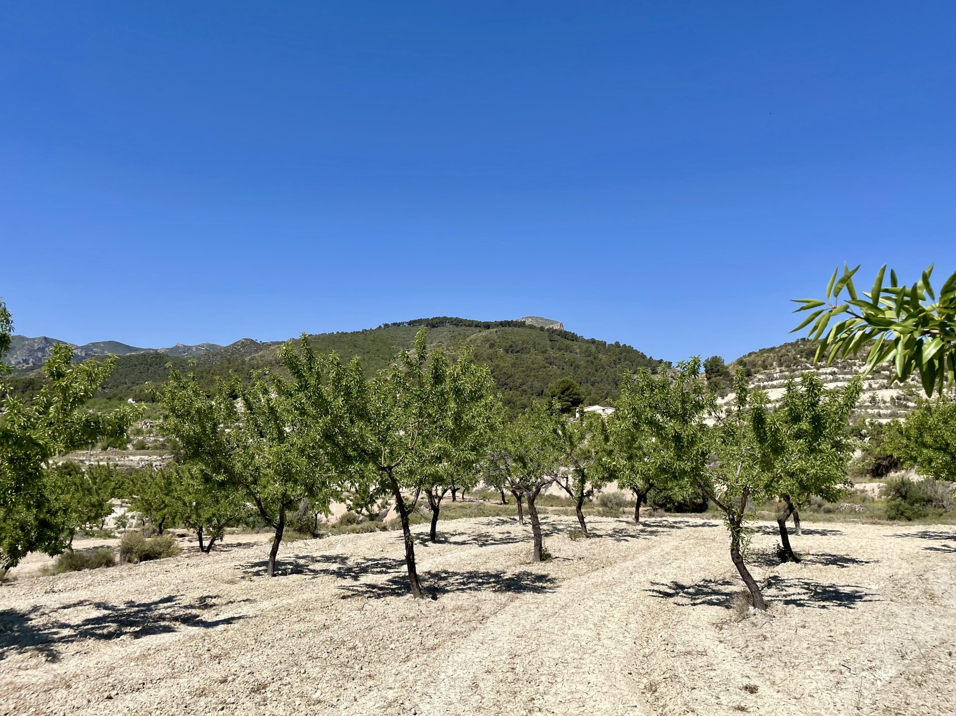 Finca i Relleu, Alicante, Spanien 2 sovrum, 67 kvm. Nr. 192509
