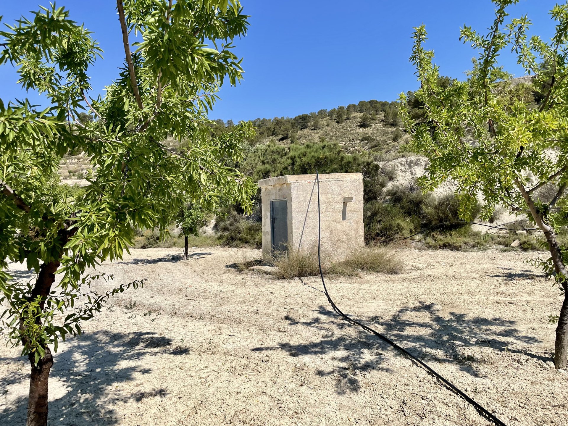 Finca i Relleu, Alicante, Spanien 2 sovrum, 67 kvm. Nr. 192509