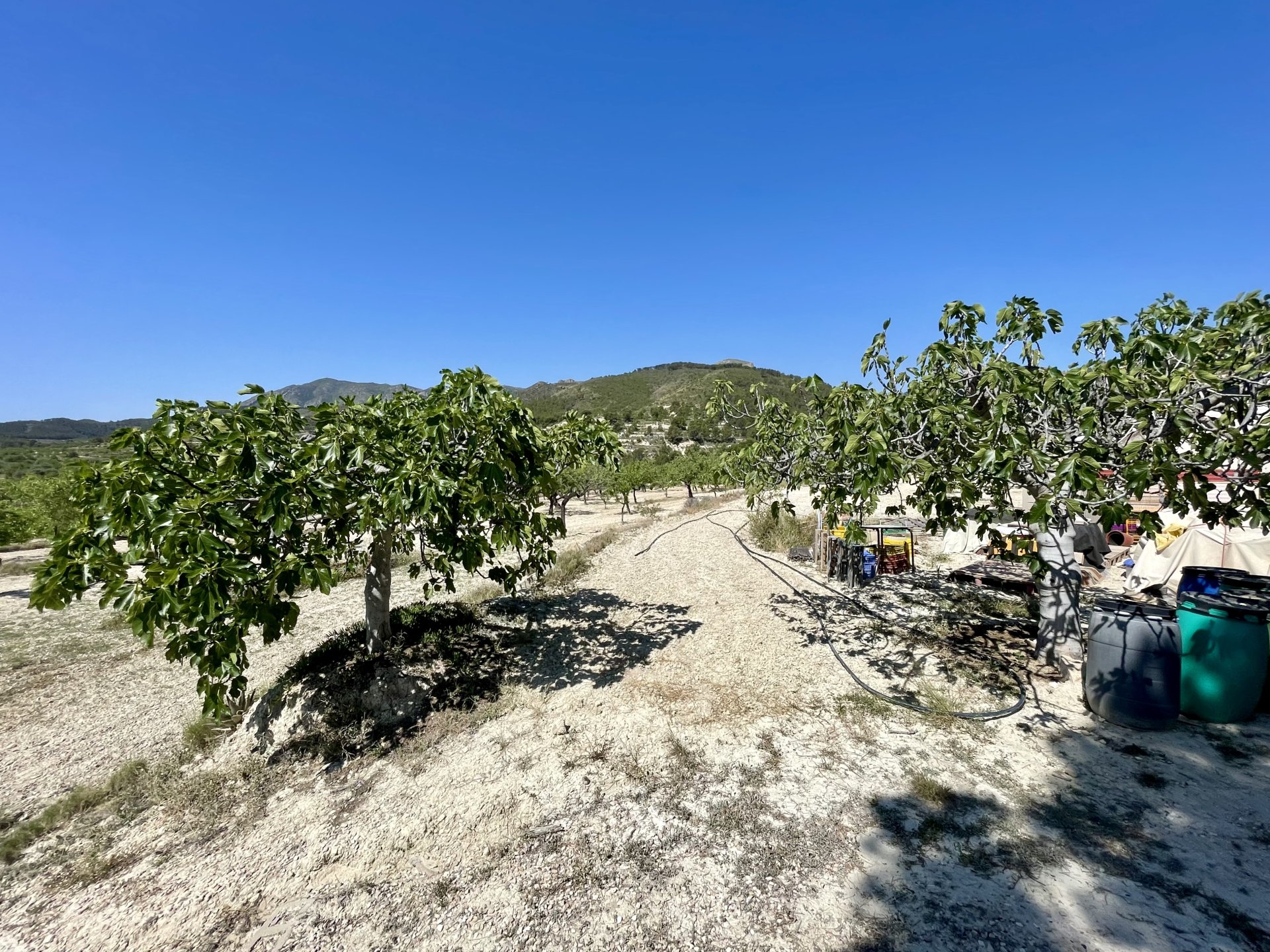 Finca i Relleu, Alicante, Spanien 2 sovrum, 67 kvm. Nr. 192509