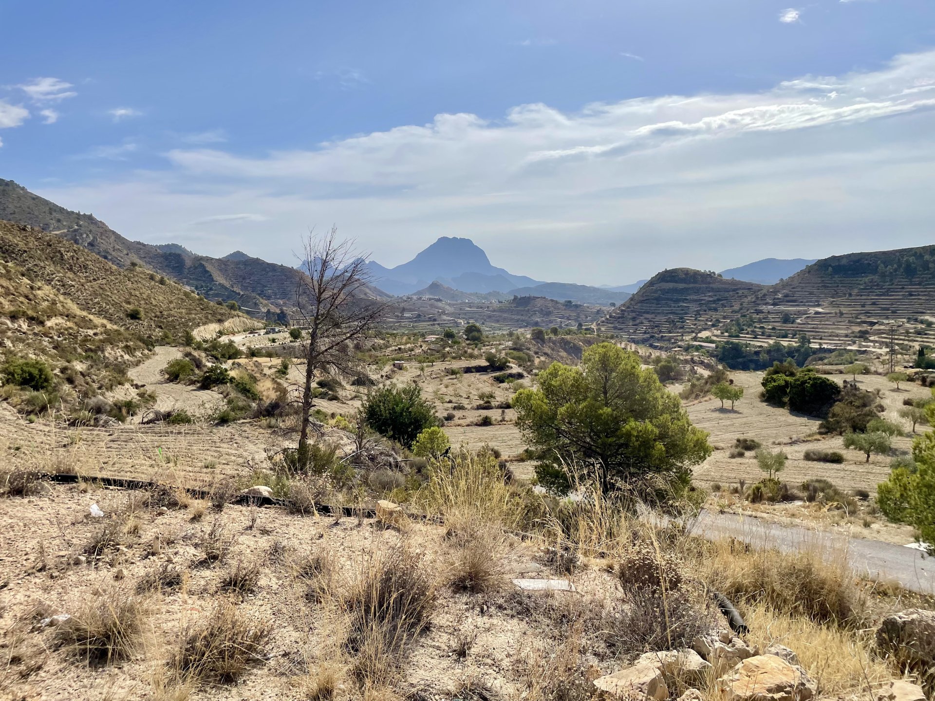 Finca Relleu, Alicante, Spānijā 3 istabas, 146 m2 Nr. 192505
