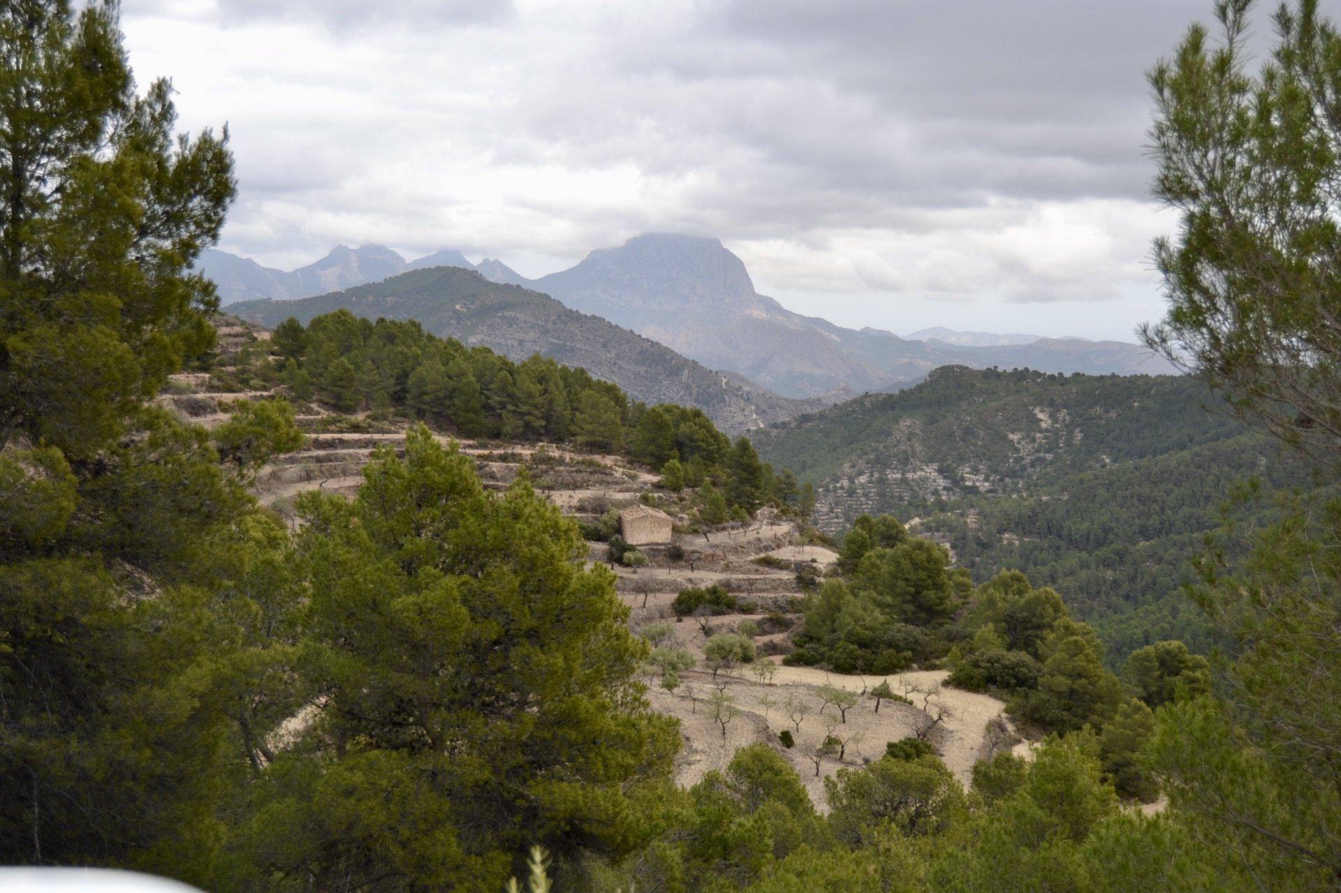Land plot in Relleu, Alicante, Spain 252 sq.m. No. 192508