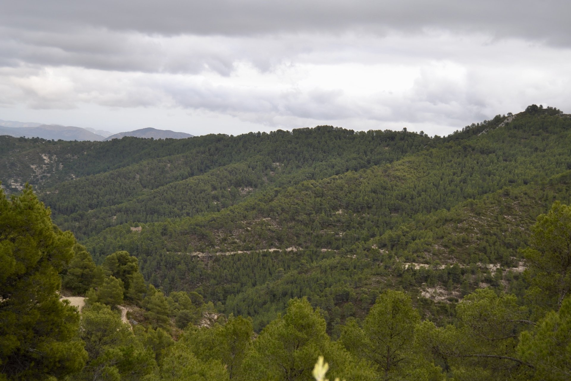 Land plot in Relleu, Alicante, Spain 252 sq.m. No. 192508
