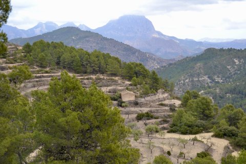 Zemes gabals Relleu, Alicante, Spānijā 252 m2 Nr. 192508