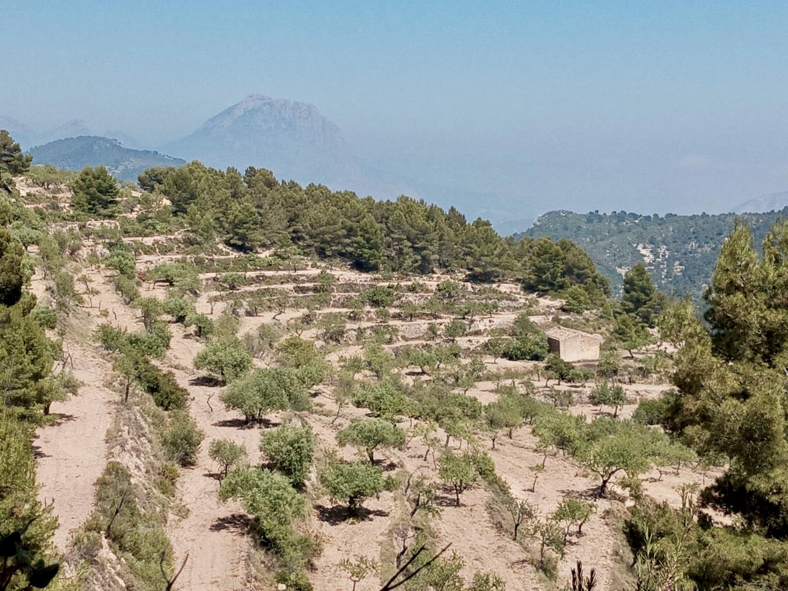 Land plot in Relleu, Alicante, Spain 252 sq.m. No. 192508