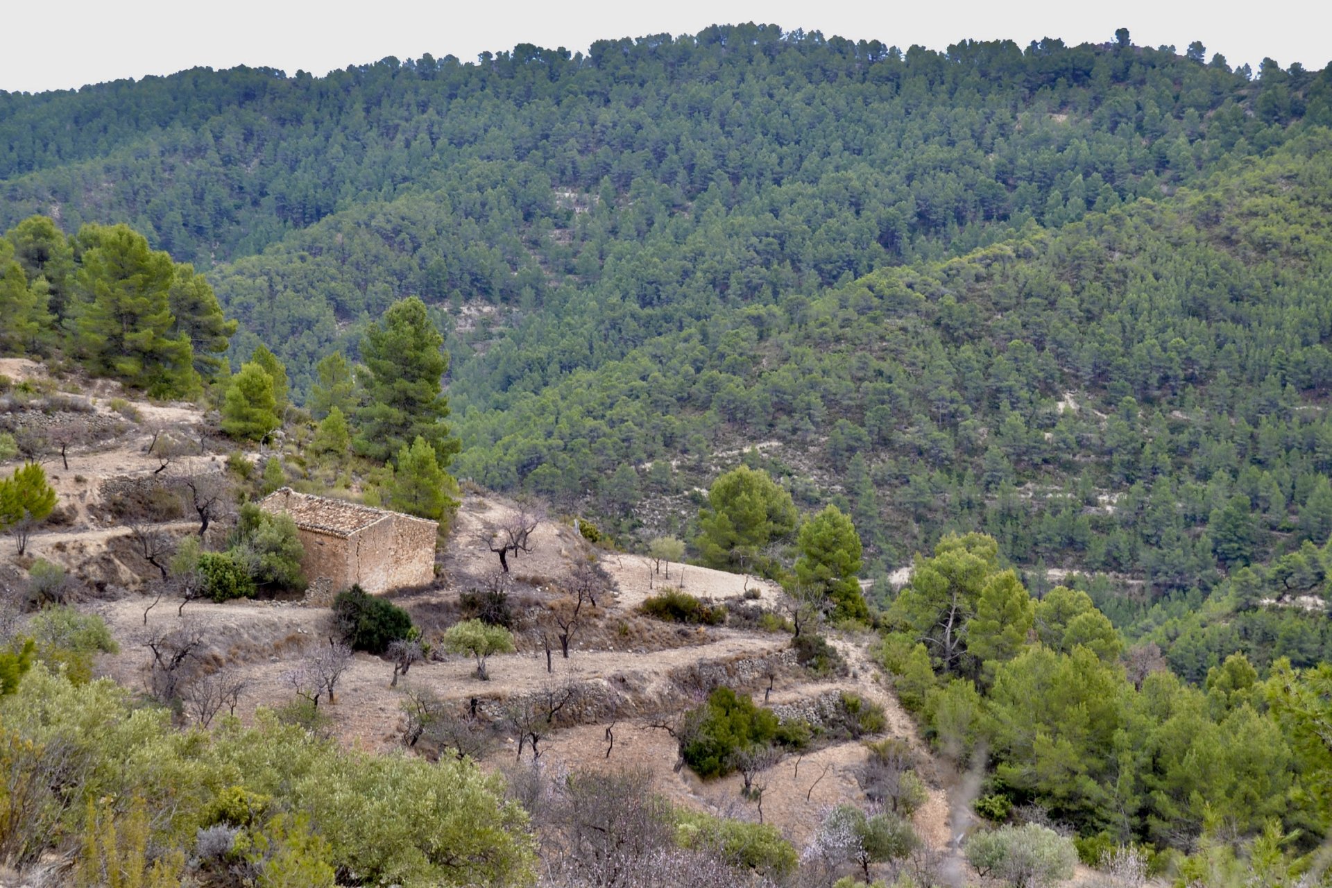 Land plot in Relleu, Alicante, Spain 252 sq.m. No. 192508