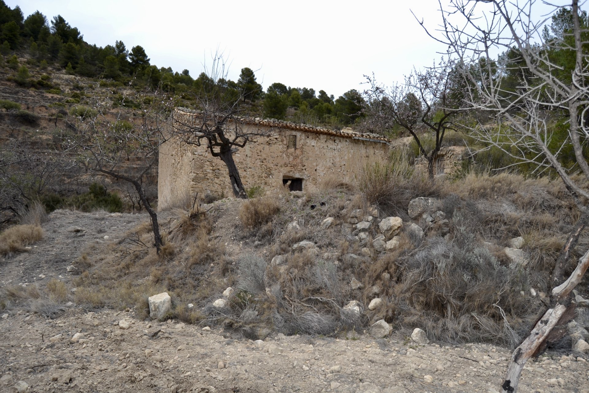 Land plot in Relleu, Alicante, Spain 252 sq.m. No. 192508