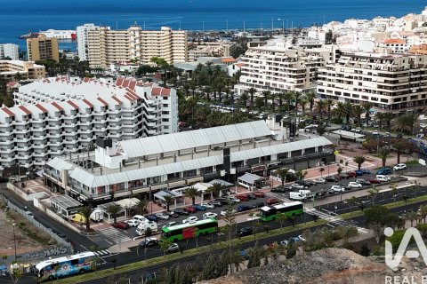 Liikekiinteistö Arona, Tenerife, Espanja 302 m2 No. 172451