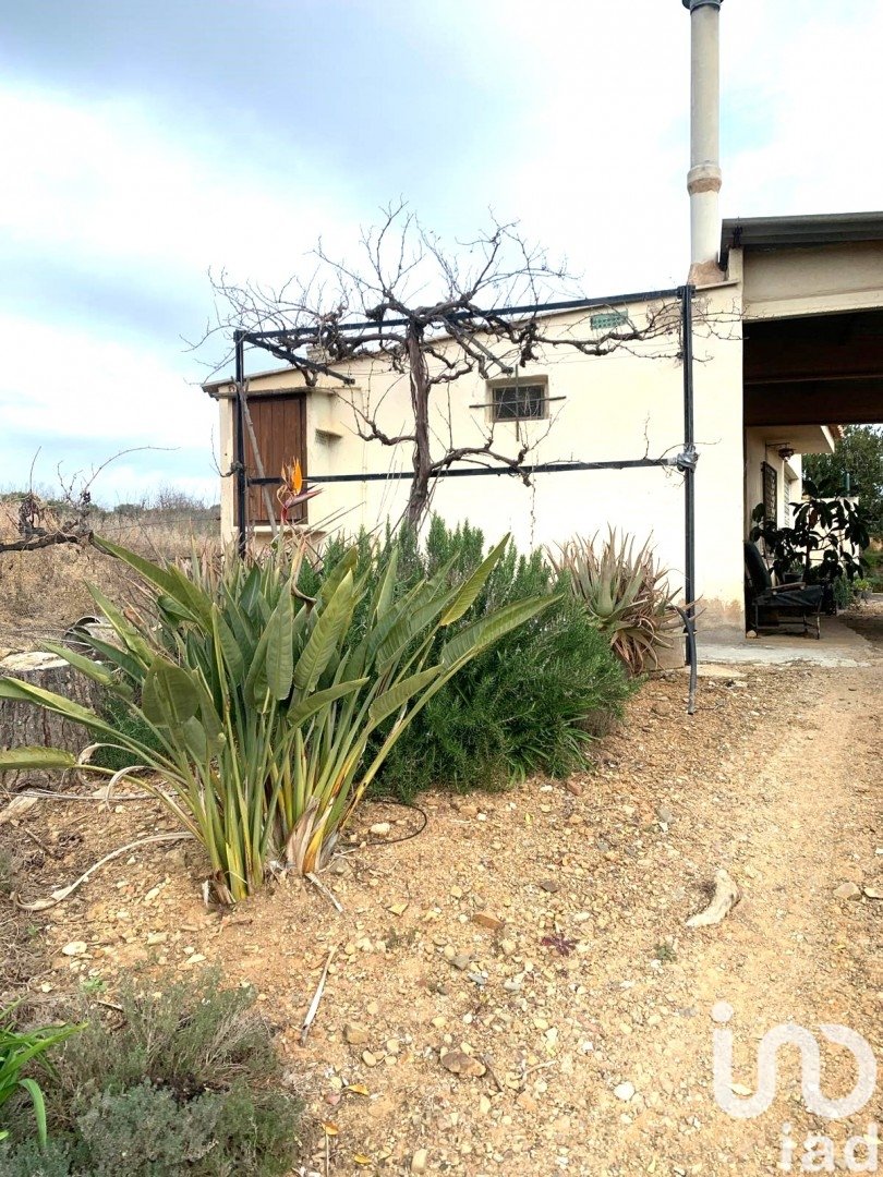 Land plot in Riudoms, Tarragona, Spain 61232 sq.m. No. 153660