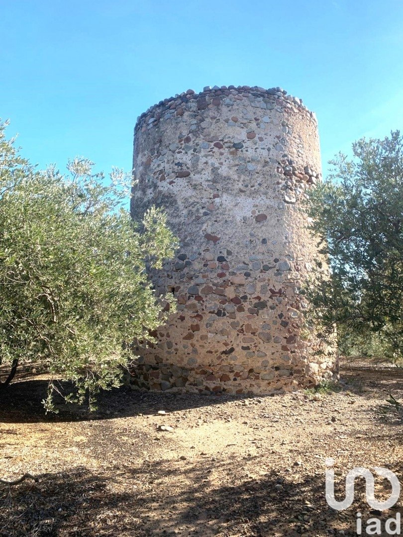 Land plot in Riudoms, Tarragona, Spain 61232 sq.m. No. 153660