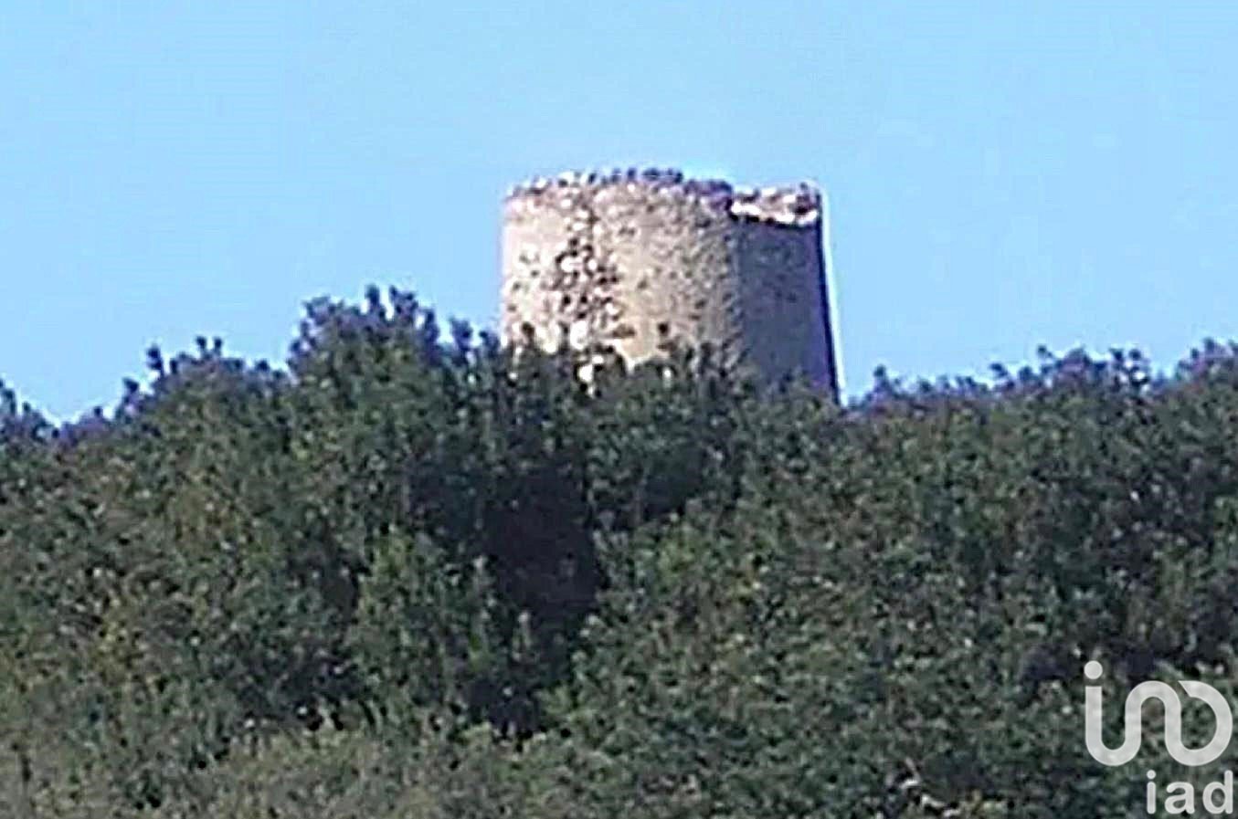 Land plot in Riudoms, Tarragona, Spain 61232 sq.m. No. 153660