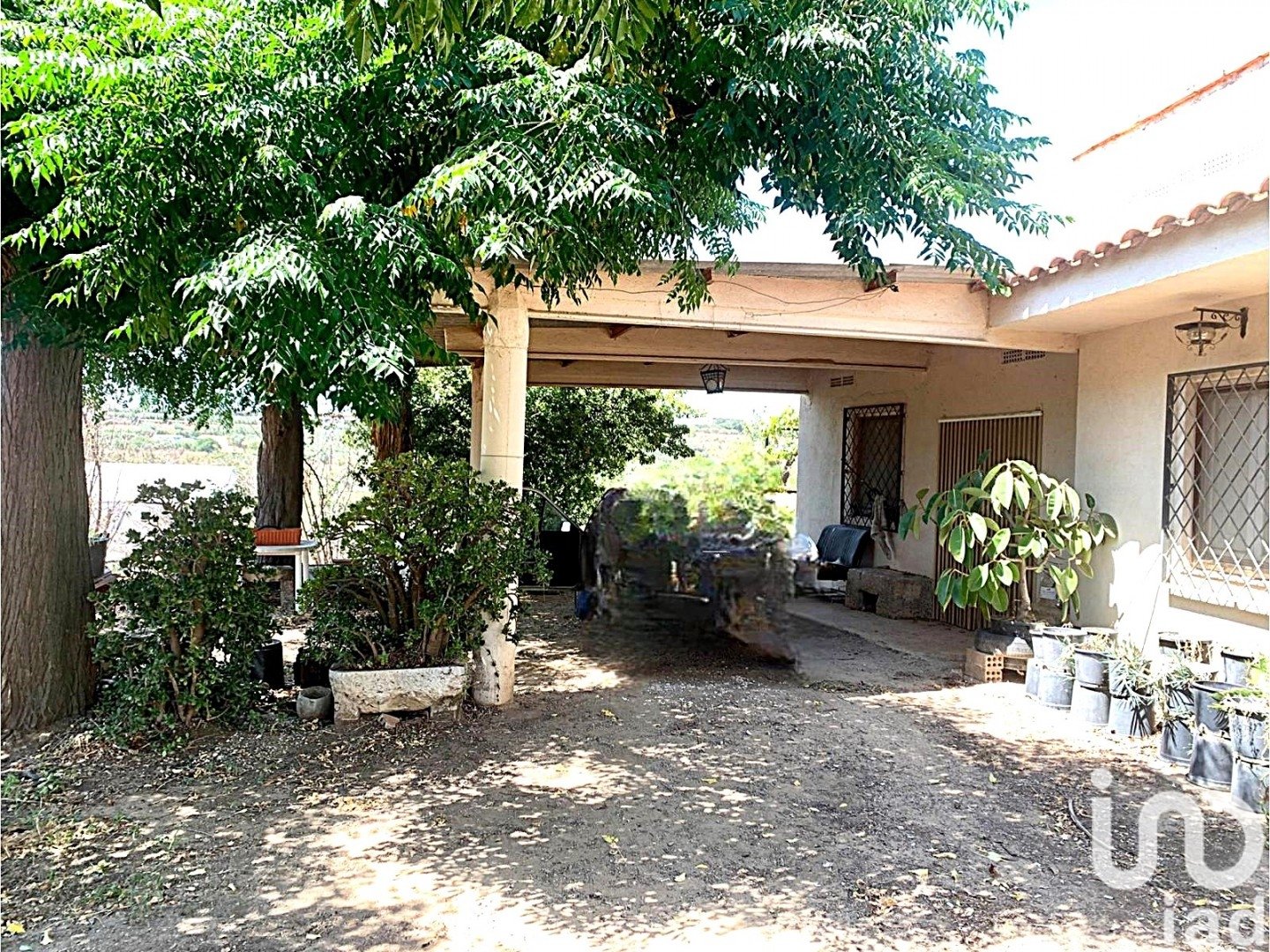 Land plot in Riudoms, Tarragona, Spain 61232 sq.m. No. 153660
