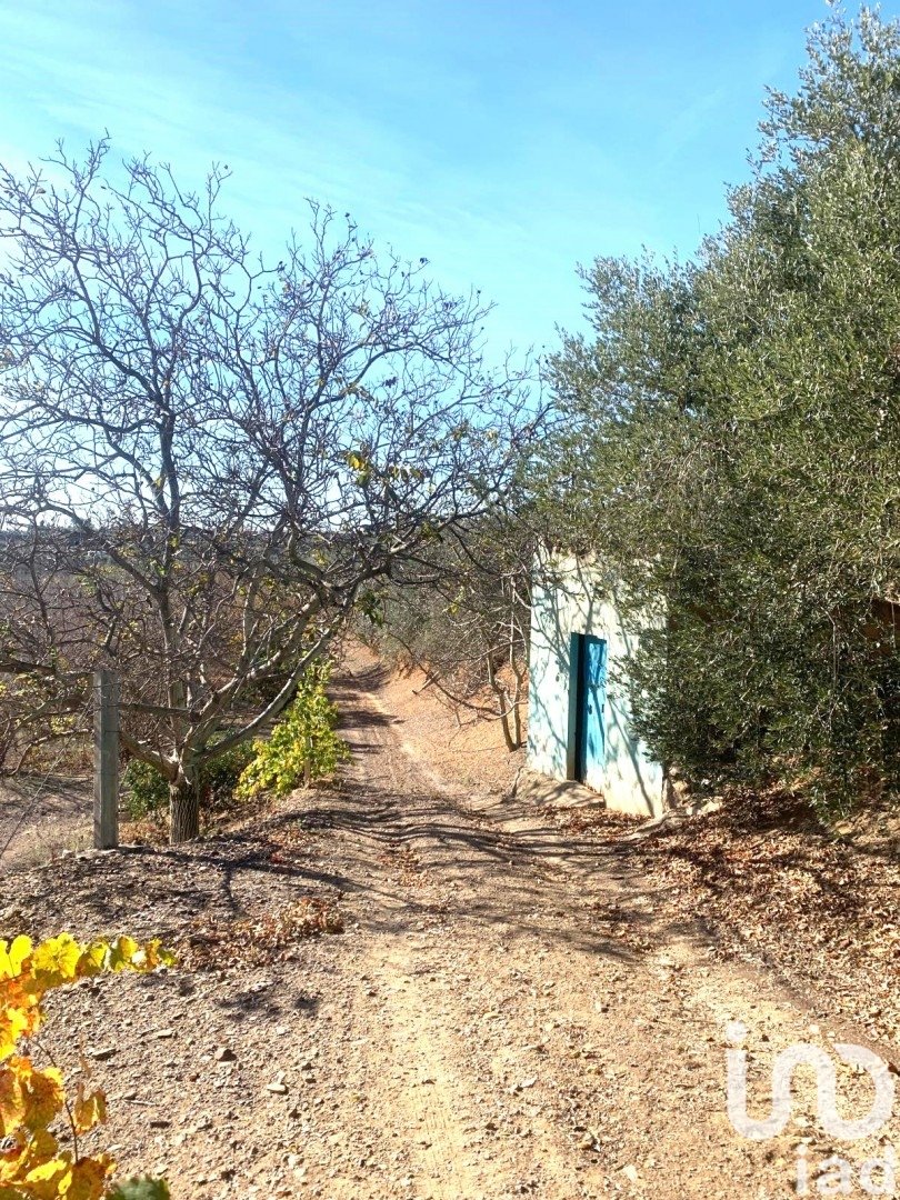 Land plot in Riudoms, Tarragona, Spain 61232 sq.m. No. 153660