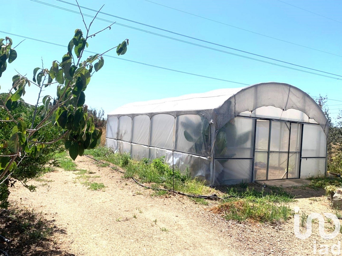 Land plot in Riudoms, Tarragona, Spain 61232 sq.m. No. 153660