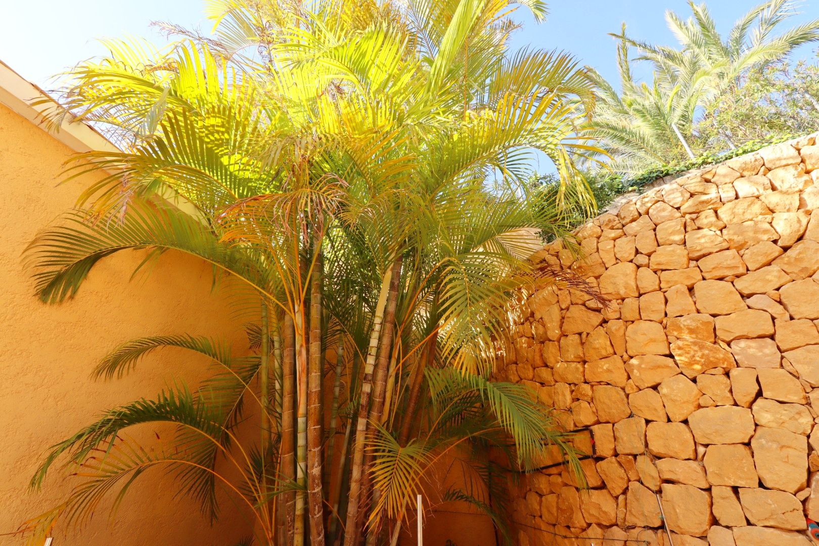 Villa à Altea, Alicante, Espagne 5 chambres, 630 m2 No. 133266