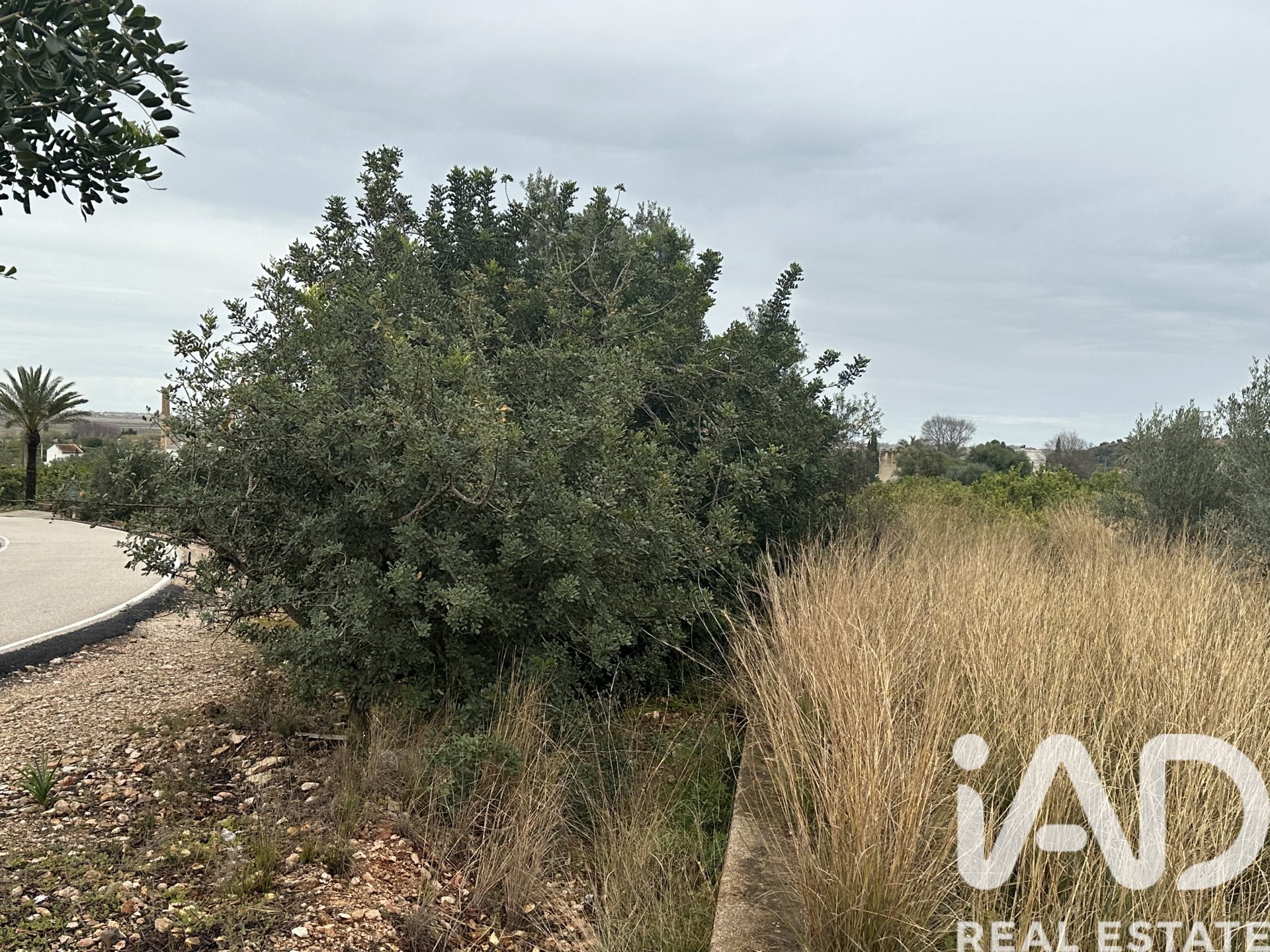 Land plot in Pego, Alicante, Spain 4717 sq.m. No. 185092