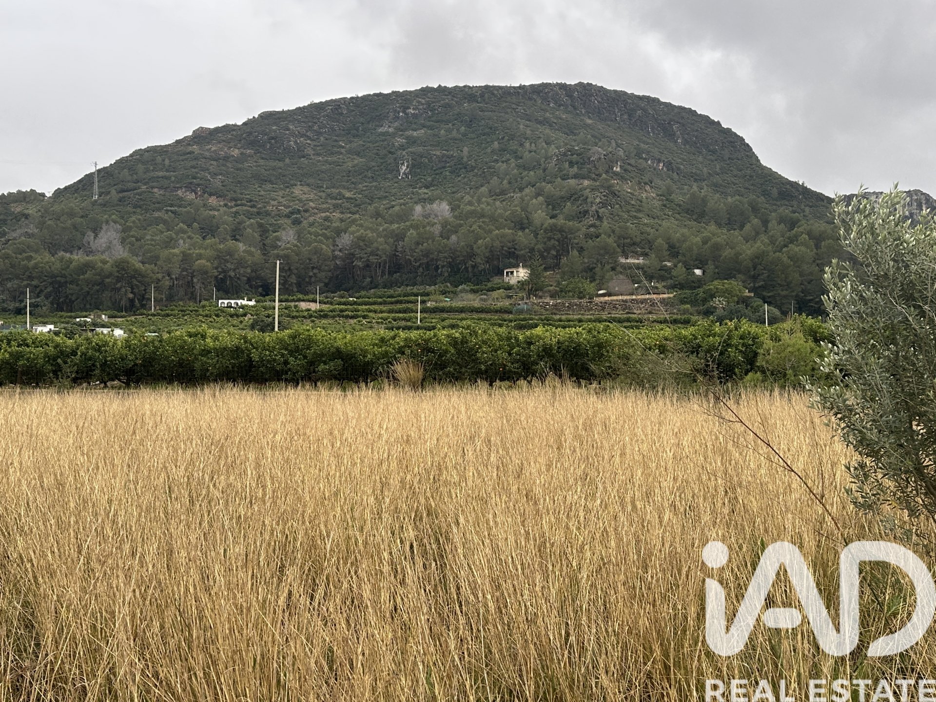 Land plot in Pego, Alicante, Spain 4717 sq.m. No. 185092