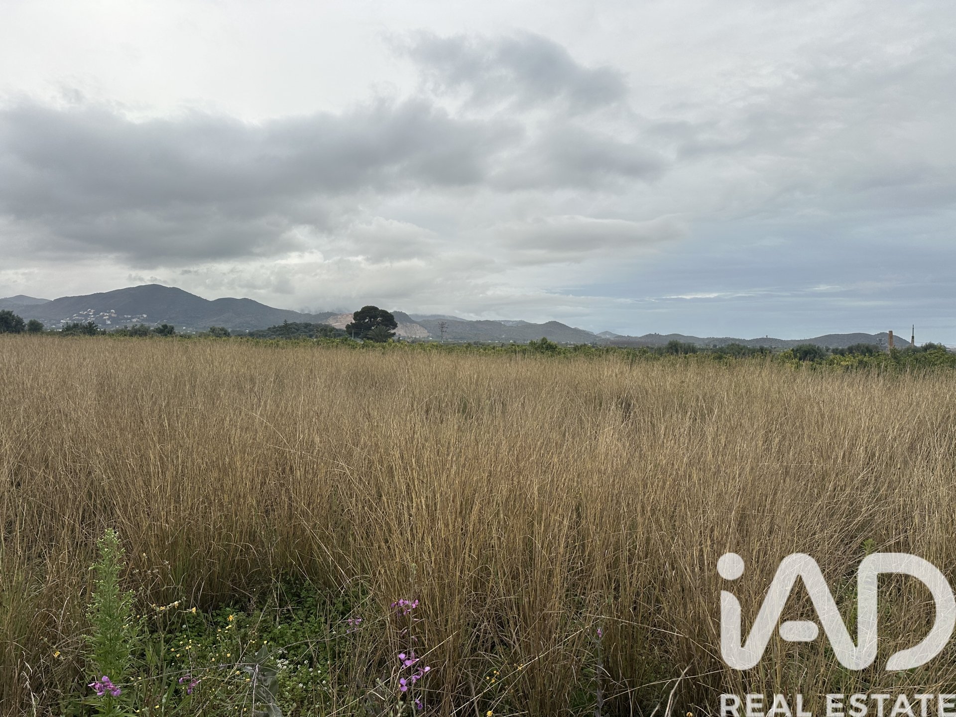 Land plot in Pego, Alicante, Spain 4717 sq.m. No. 185092