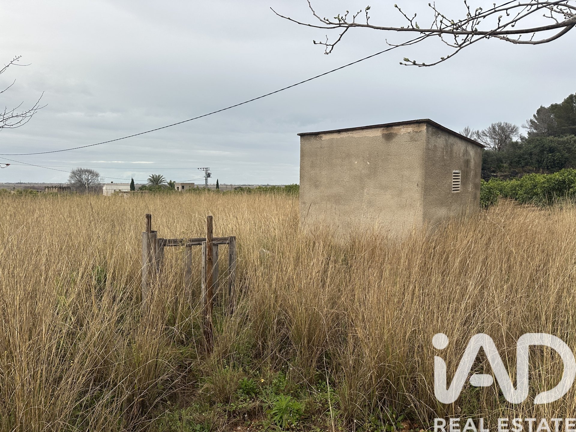 Land plot in Pego, Alicante, Spain 4717 sq.m. No. 185092
