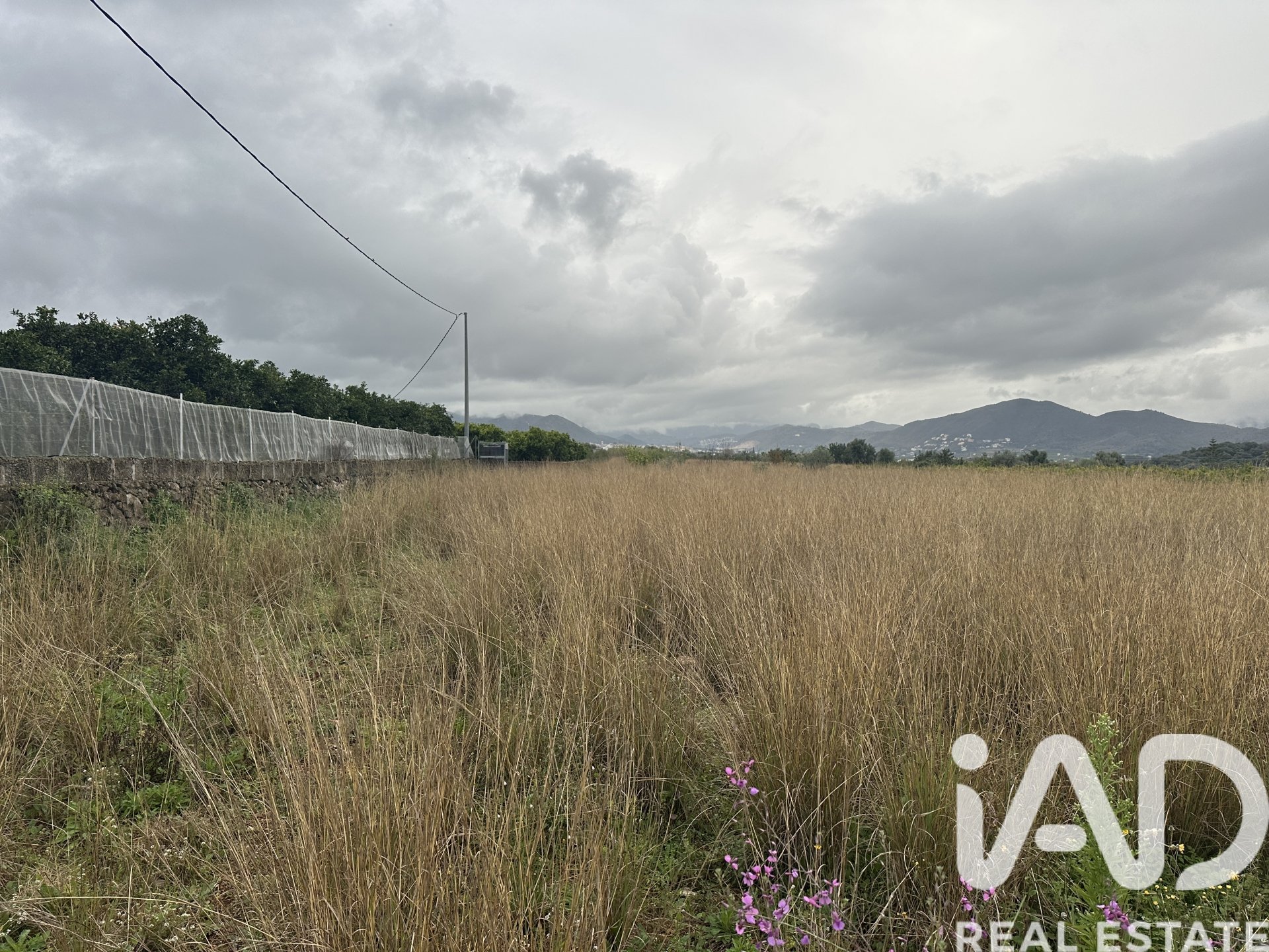 Land plot in Pego, Alicante, Spain 4717 sq.m. No. 185092