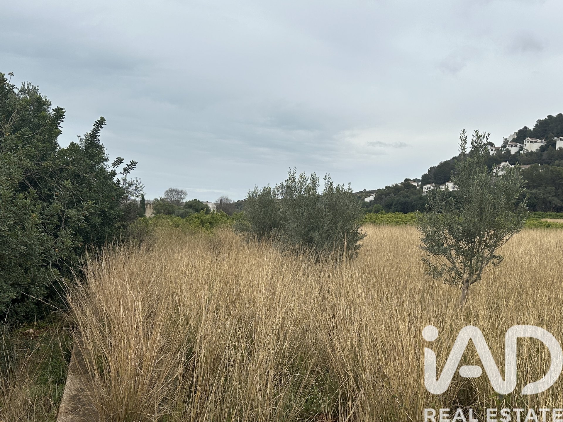 Land plot in Pego, Alicante, Spain 4717 sq.m. No. 185092