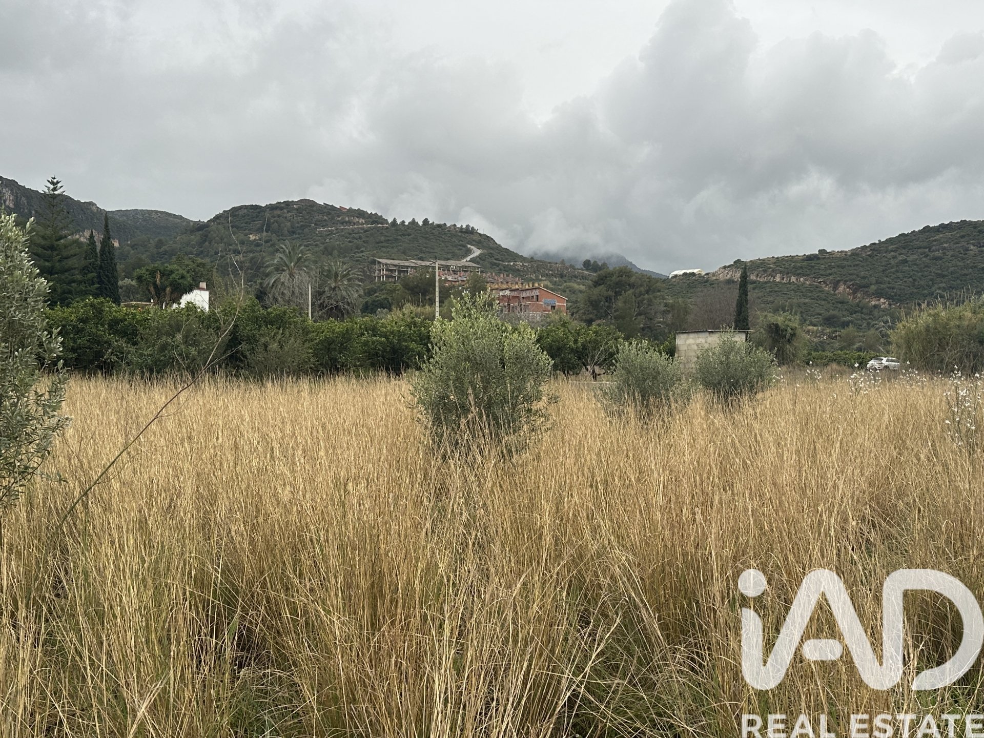 Land plot in Pego, Alicante, Spain 4717 sq.m. No. 185092