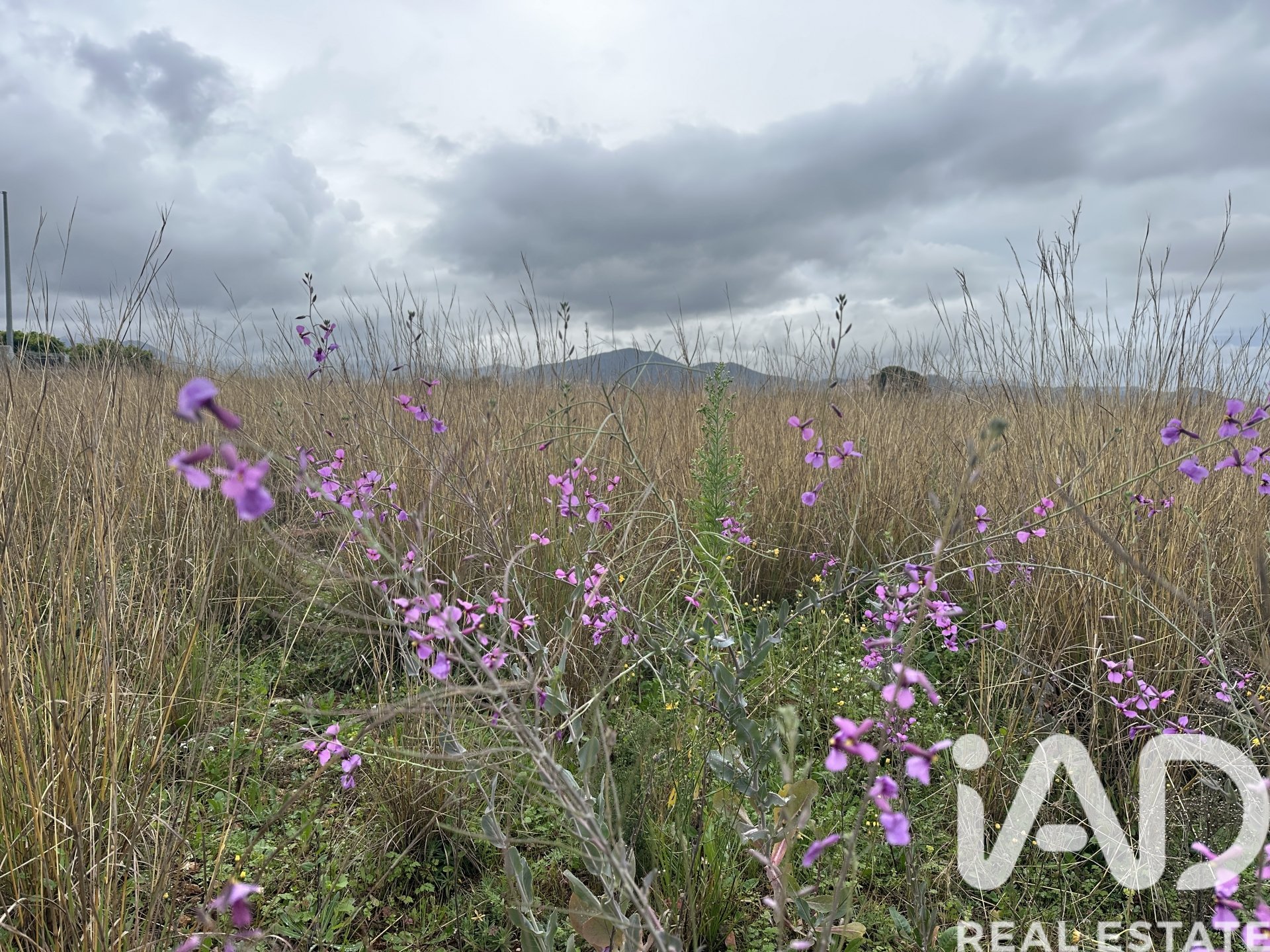 Land plot in Pego, Alicante, Spain 4717 sq.m. No. 185092
