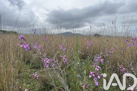 Parcela en Pego, Alicante, España 4717 m2 No. 185092