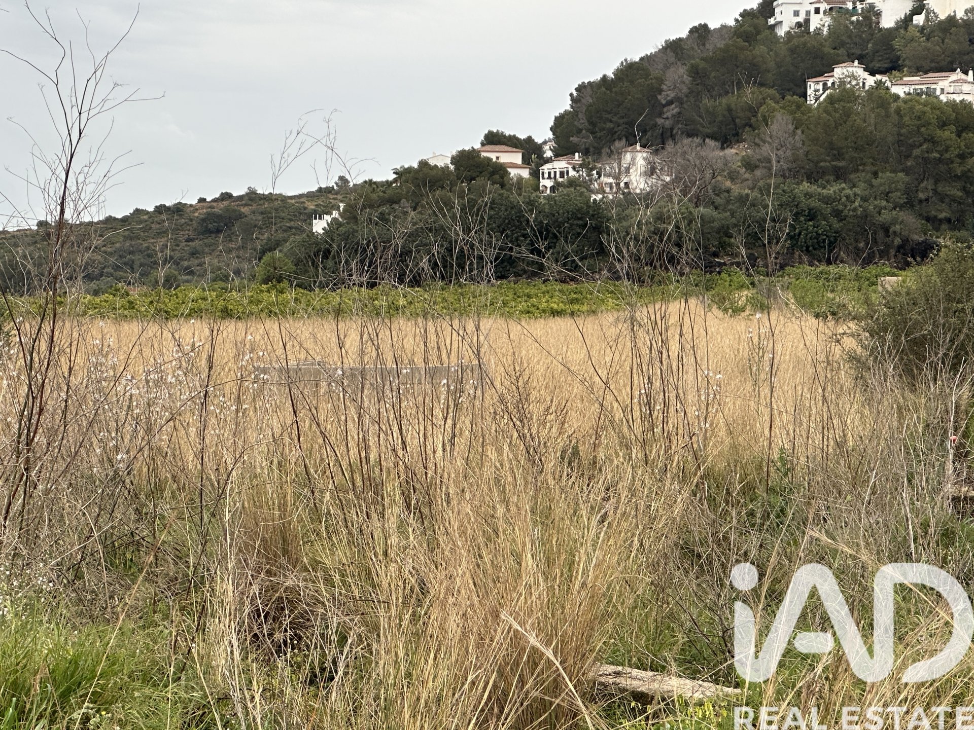 Land plot in Pego, Alicante, Spain 4717 sq.m. No. 185092