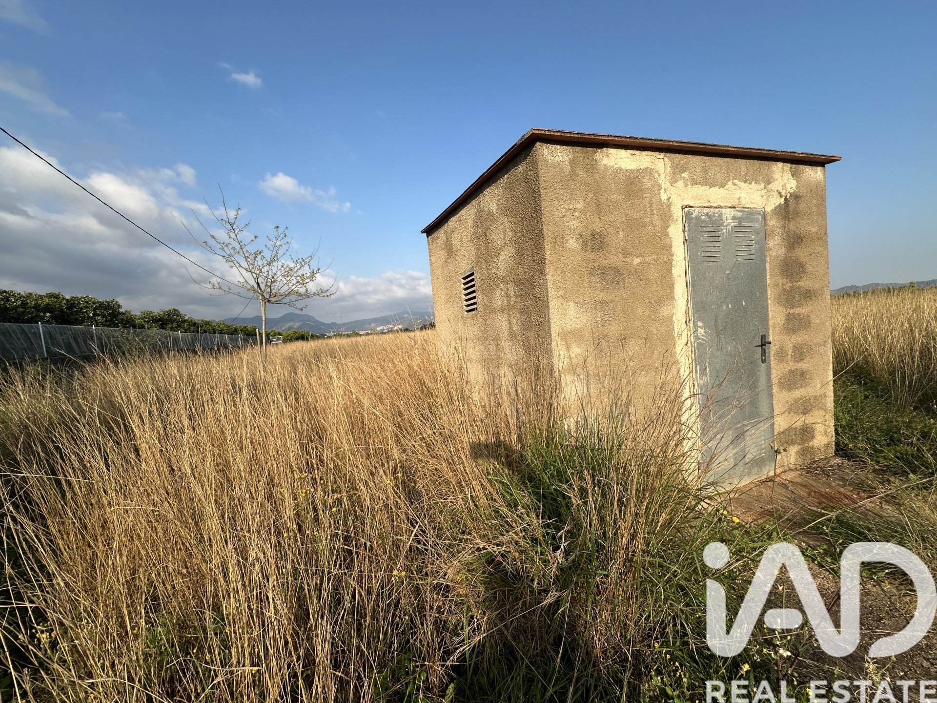 Land plot in Pego, Alicante, Spain 4717 sq.m. No. 185092