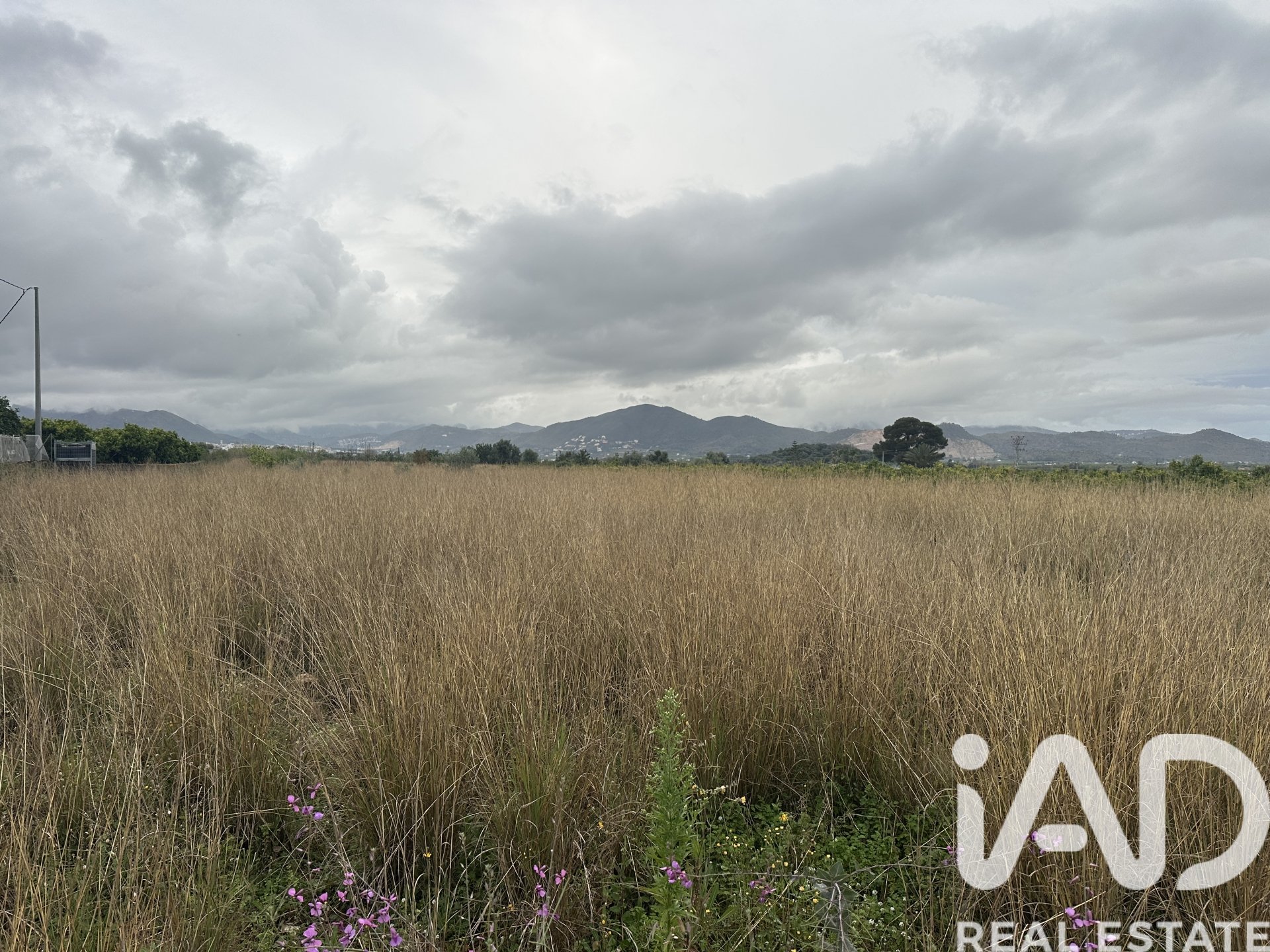 Land plot in Pego, Alicante, Spain 4717 sq.m. No. 185092