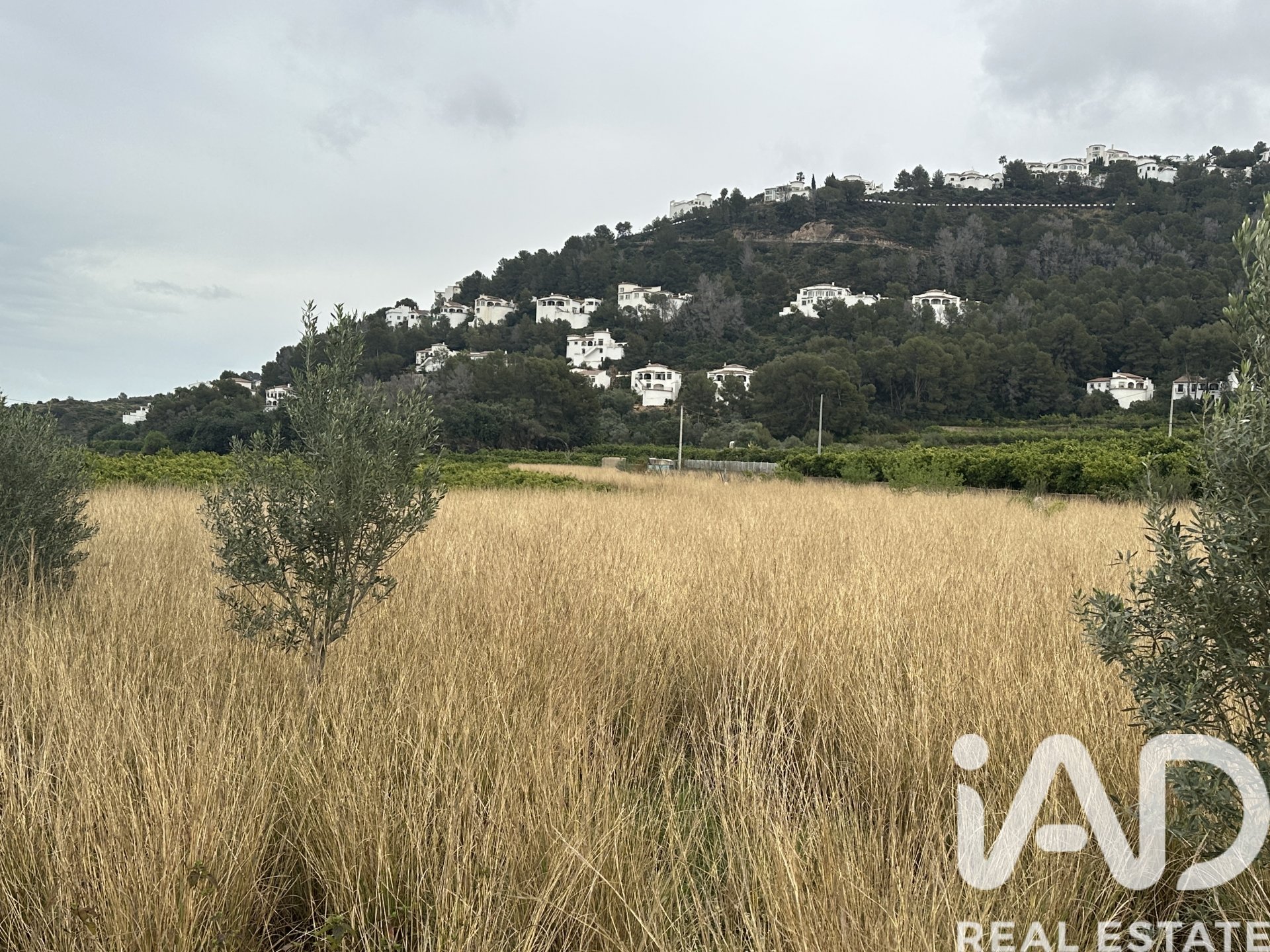 Land plot in Pego, Alicante, Spain 4717 sq.m. No. 185092