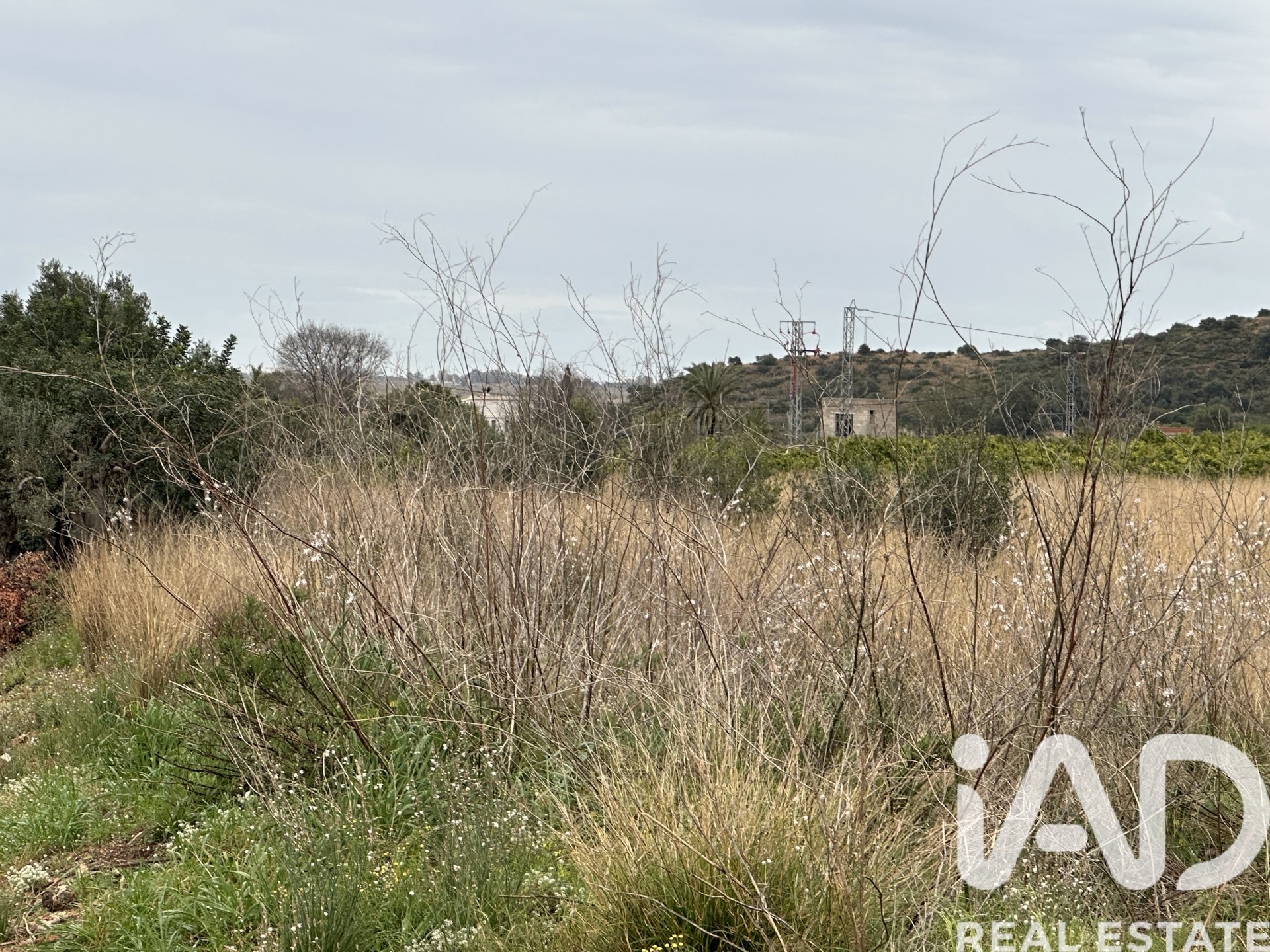 Land plot in Pego, Alicante, Spain 4717 sq.m. No. 185092