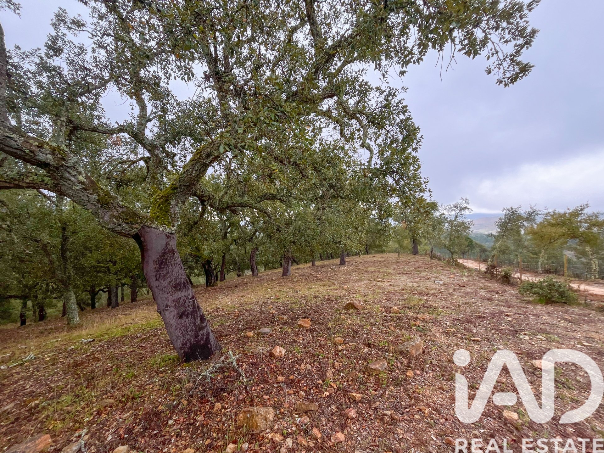 Terreno a Galaroza, Huelva, Spagna 35000 mq. N° 185087
