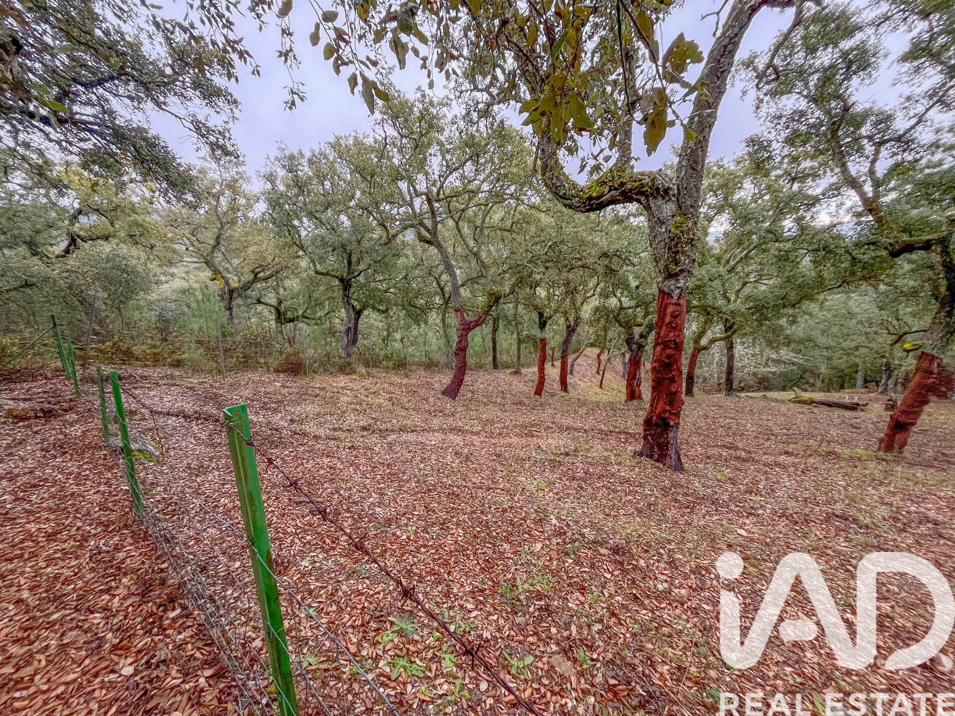 Terreno a Galaroza, Huelva, Spagna 35000 mq. N° 185087