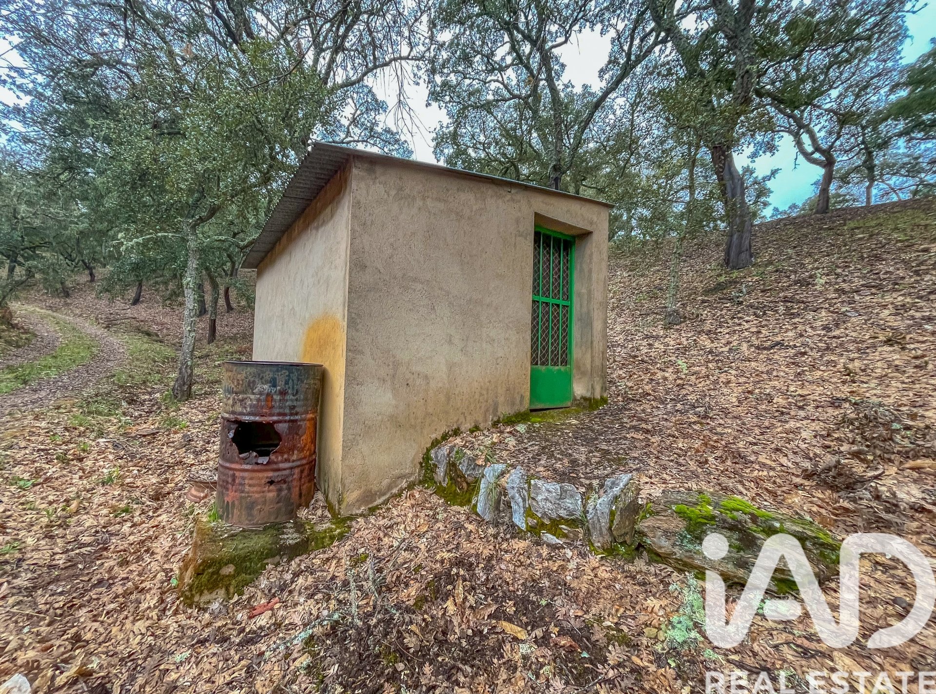 Terreno a Galaroza, Huelva, Spagna 35000 mq. N° 185087