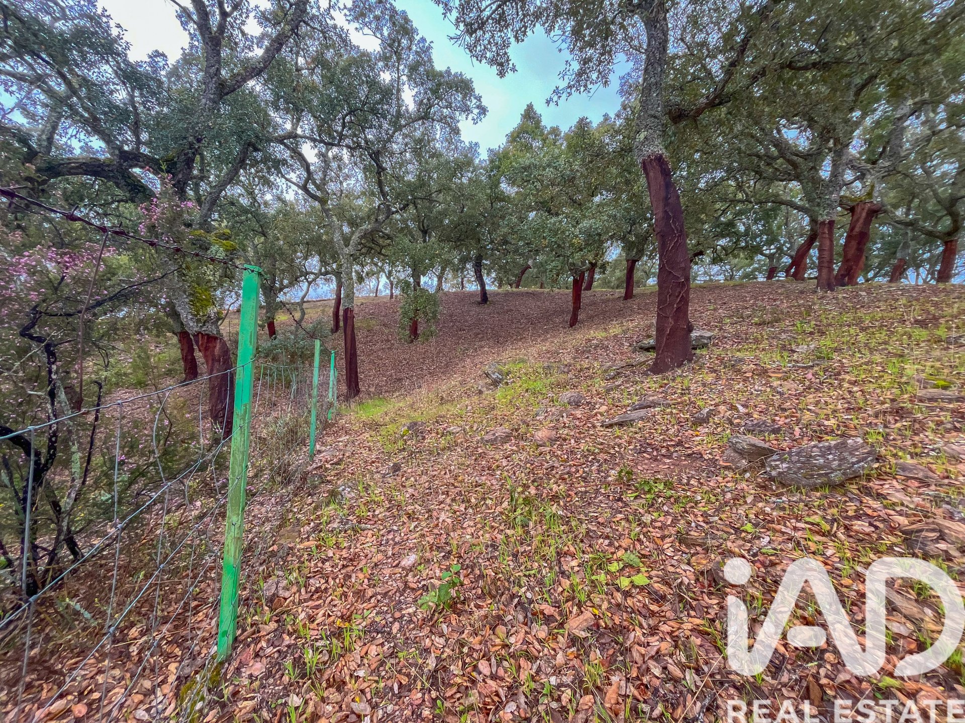 Terreno a Galaroza, Huelva, Spagna 35000 mq. N° 185087