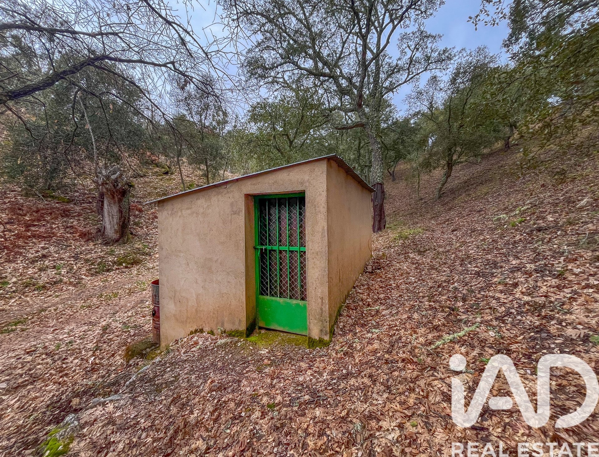 Terreno a Galaroza, Huelva, Spagna 35000 mq. N° 185087