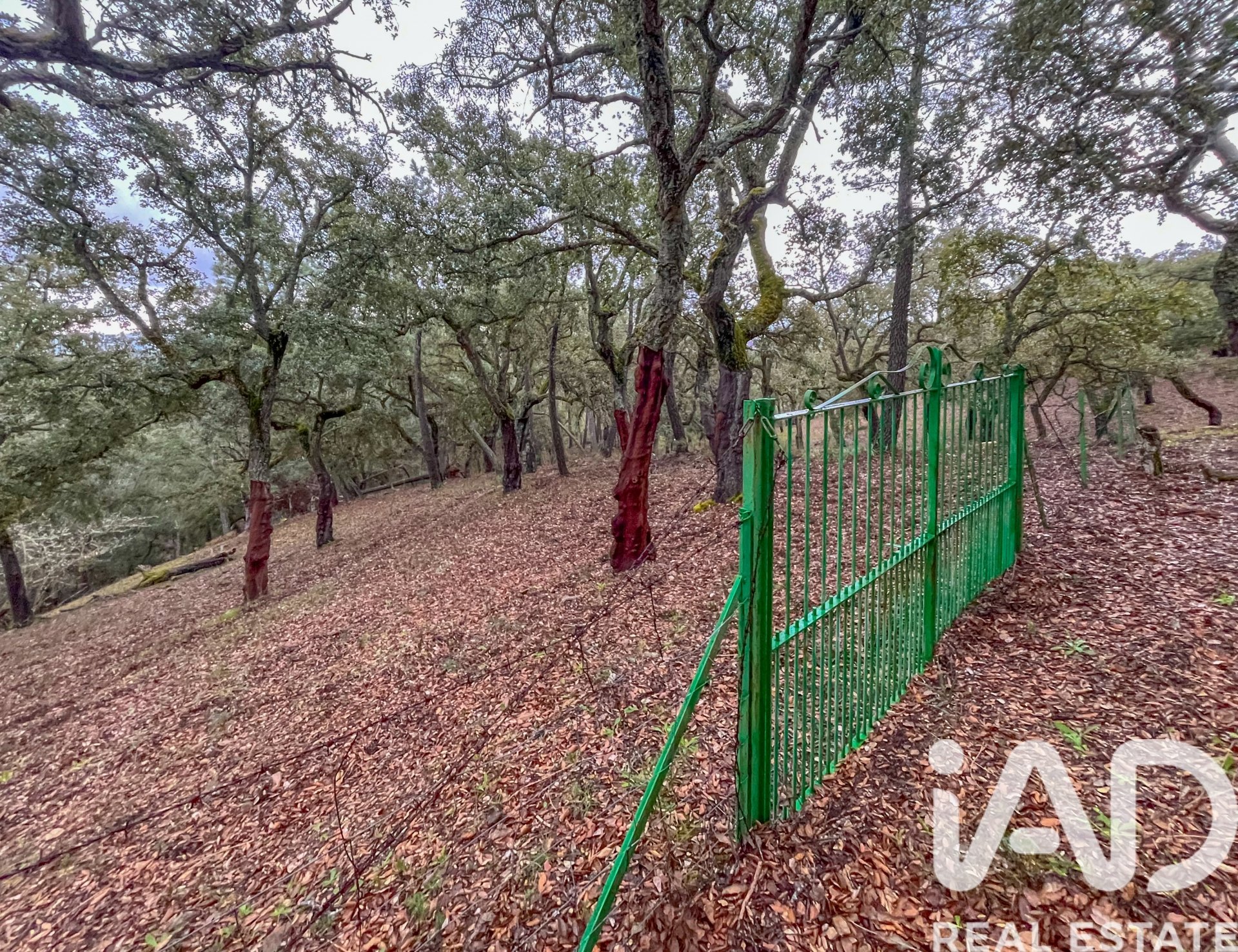 Terreno a Galaroza, Huelva, Spagna 35000 mq. N° 185087