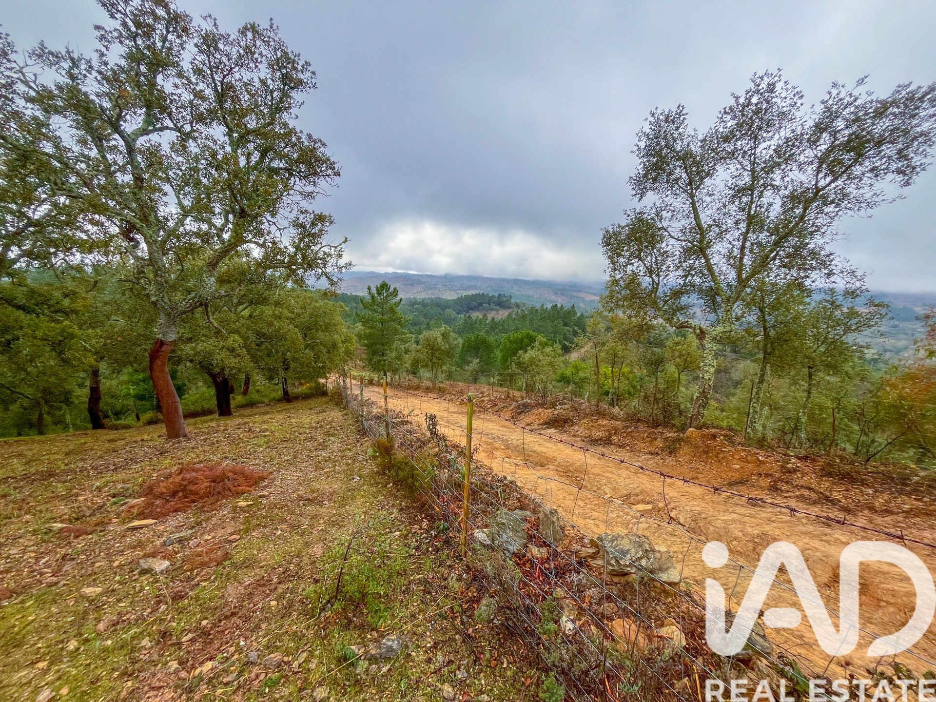 Terreno a Galaroza, Huelva, Spagna 35000 mq. N° 185087