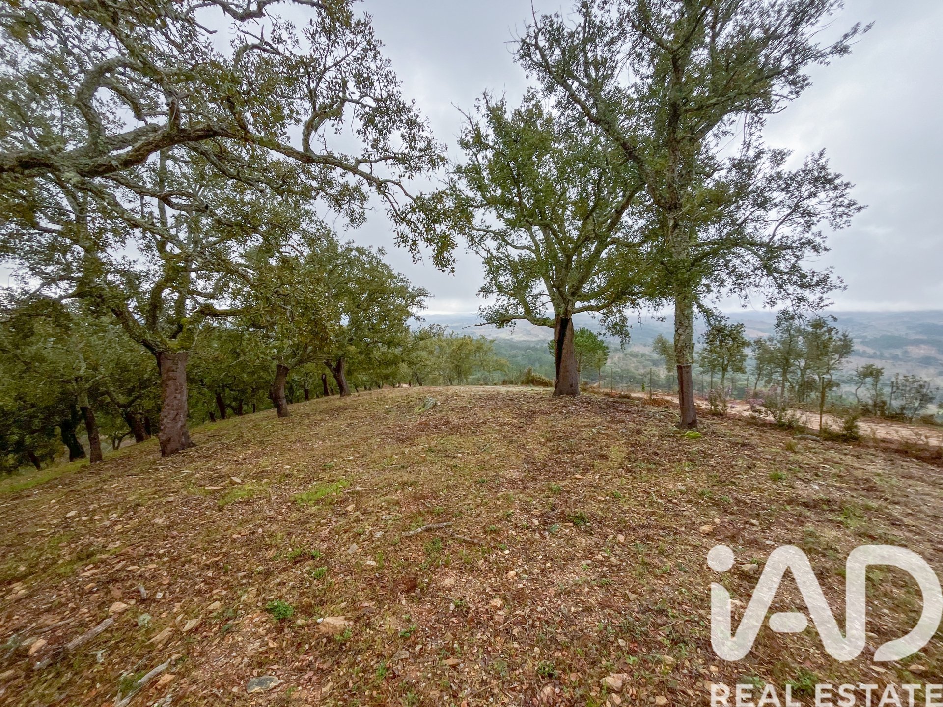 Terreno a Galaroza, Huelva, Spagna 35000 mq. N° 185087