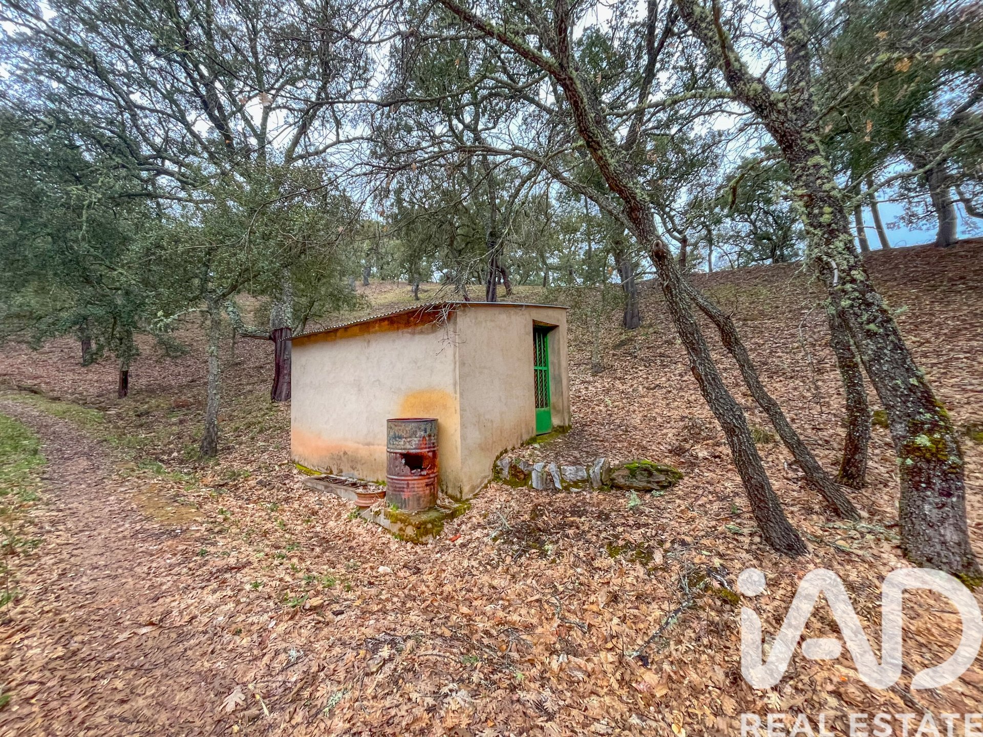 Terreno a Galaroza, Huelva, Spagna 35000 mq. N° 185087